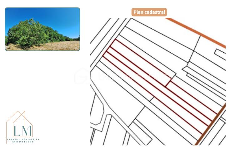Terrain de loisirs de 13 760 m² - Photos d'annonce - compromis+vente.png