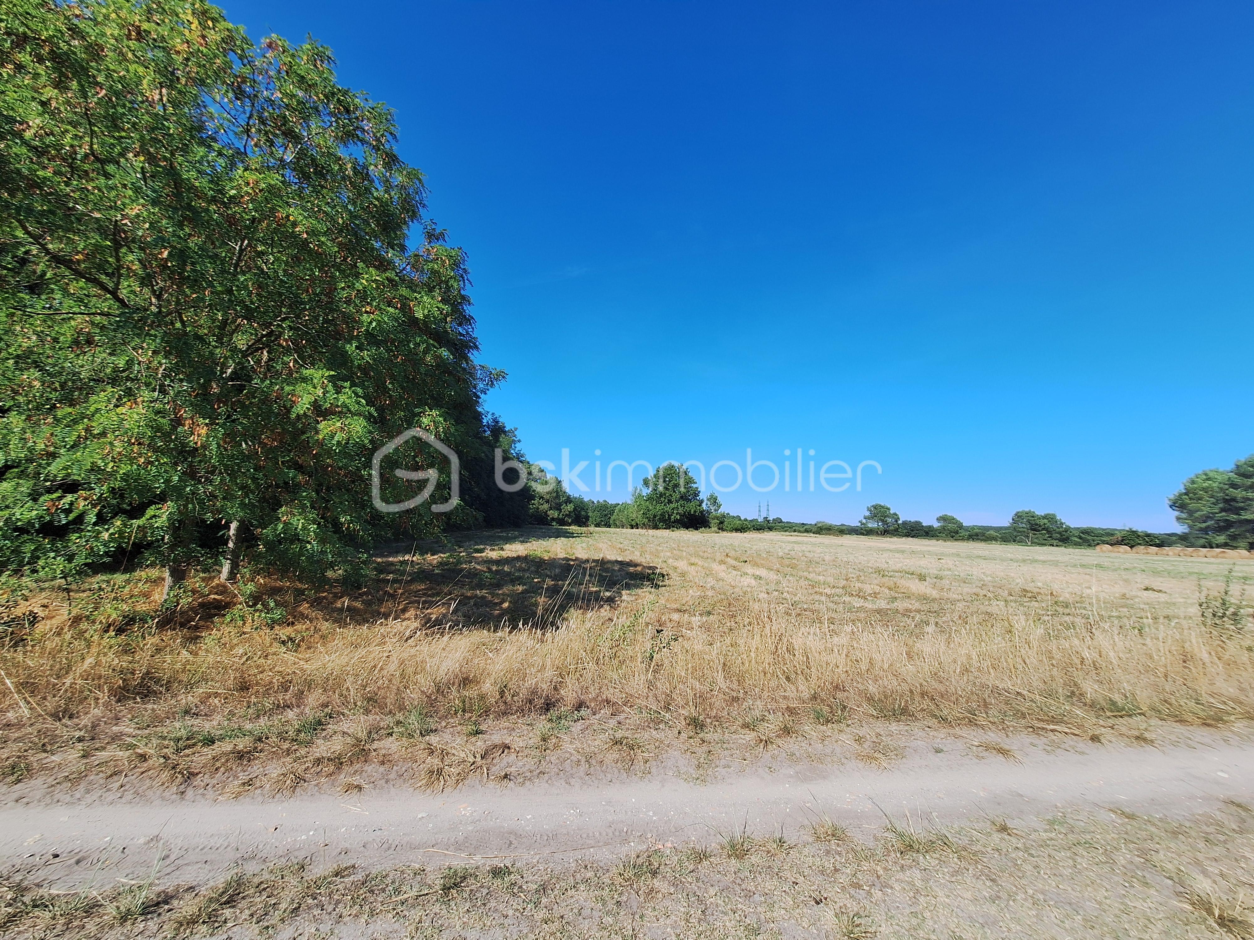 Terrain de loisirs de 13 760 m² - 20250803_174316.jpg