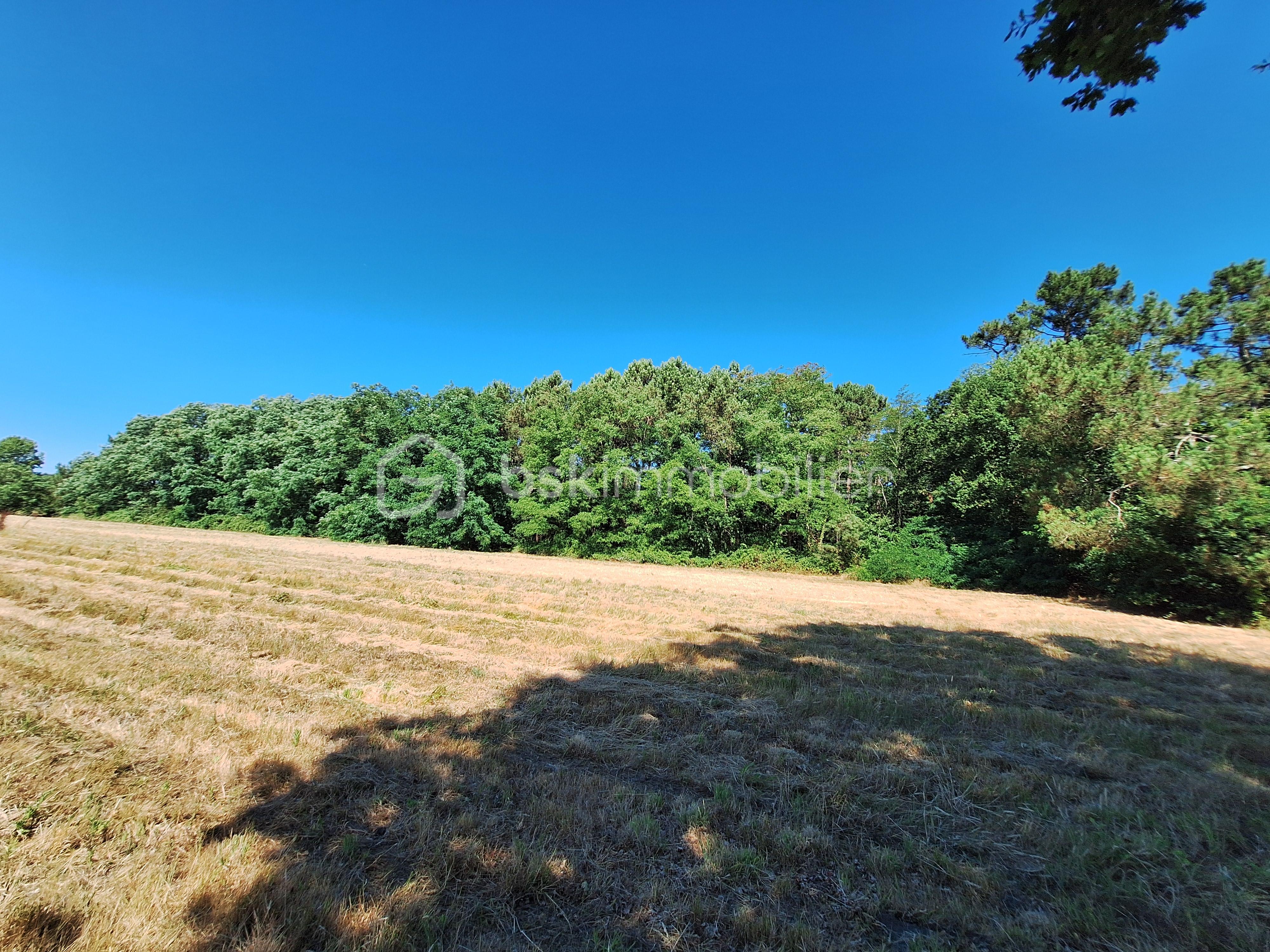 Terrain de loisirs de 13 760 m² - 3.jpg