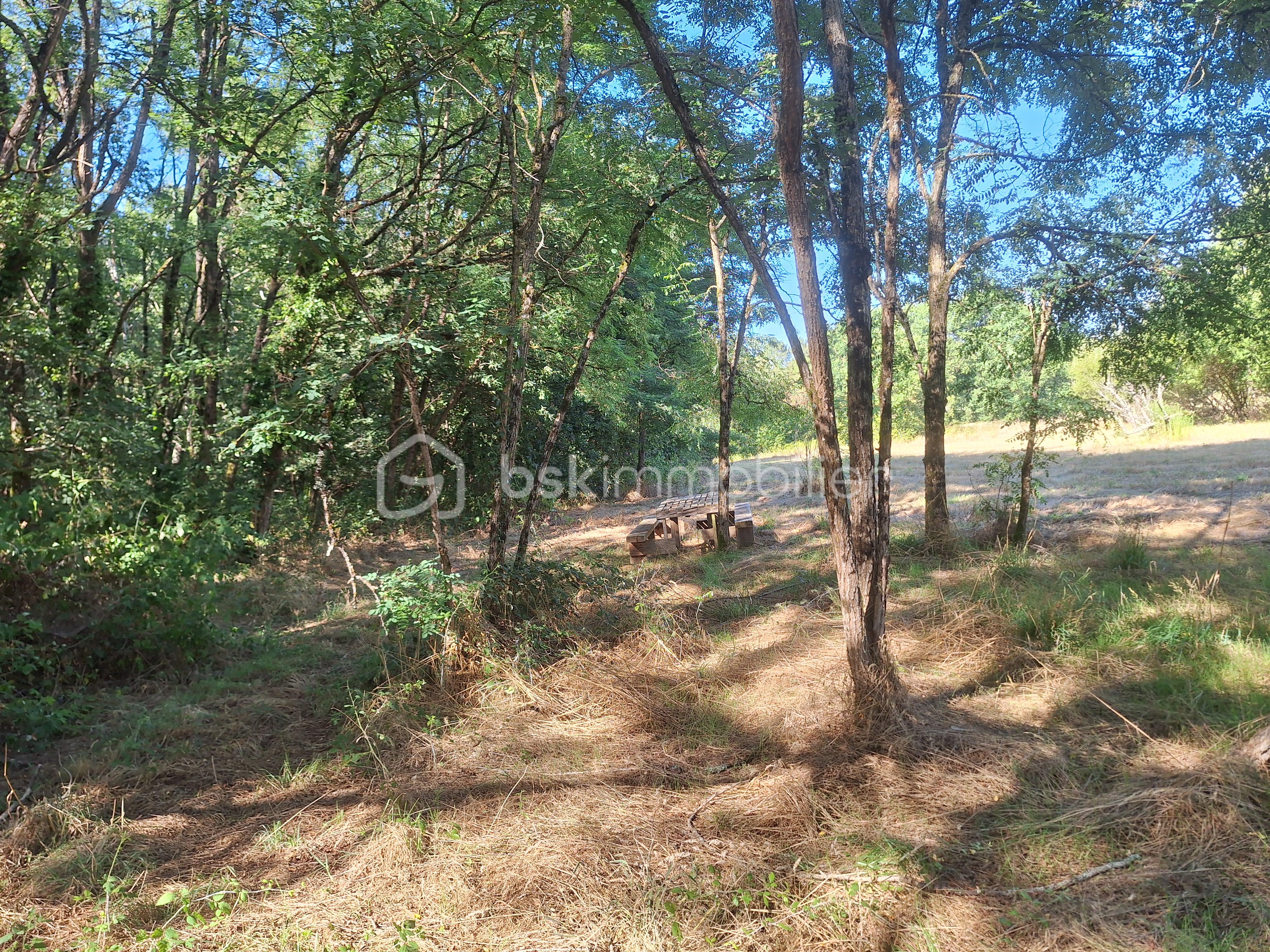 Terrain de loisirs de 13 760 m² - 20250803_175237.jpg