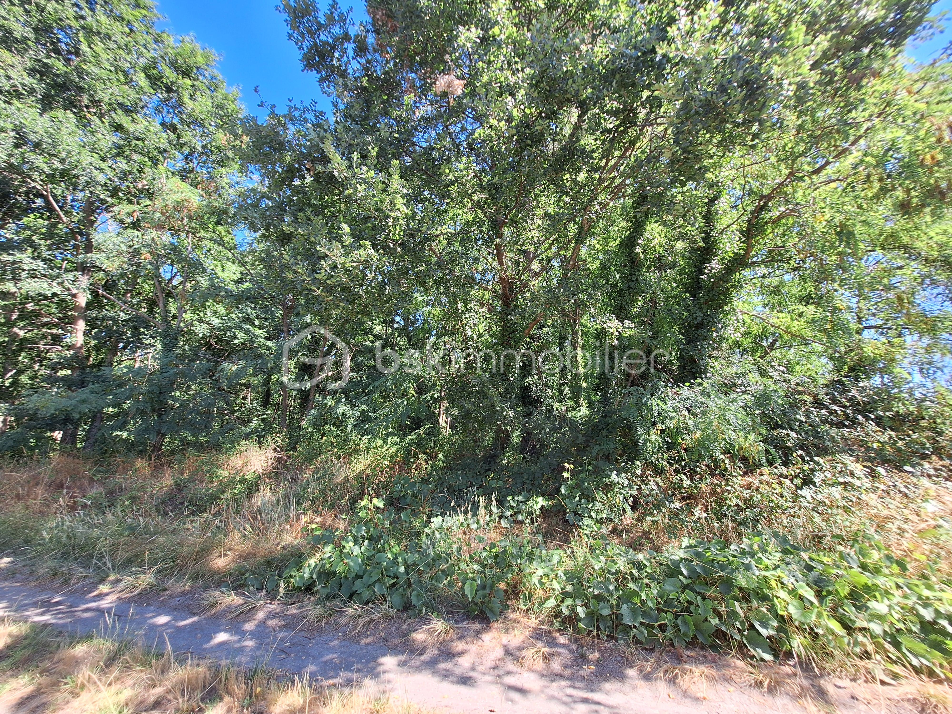 Terrain de loisirs de 13 760 m² - 4.jpg