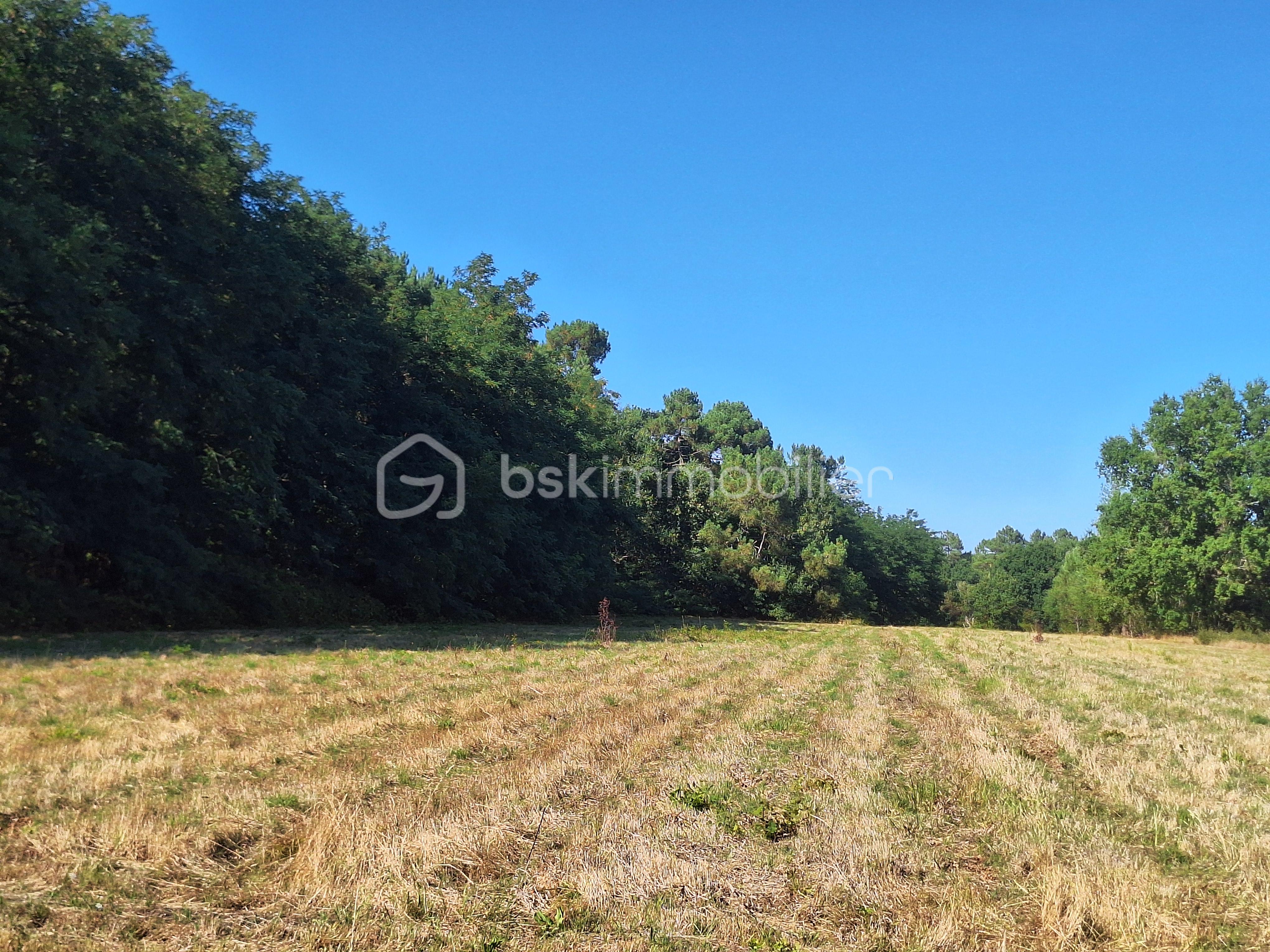Terrain de loisirs de 13 760 m² - 20250803_174351.jpg
