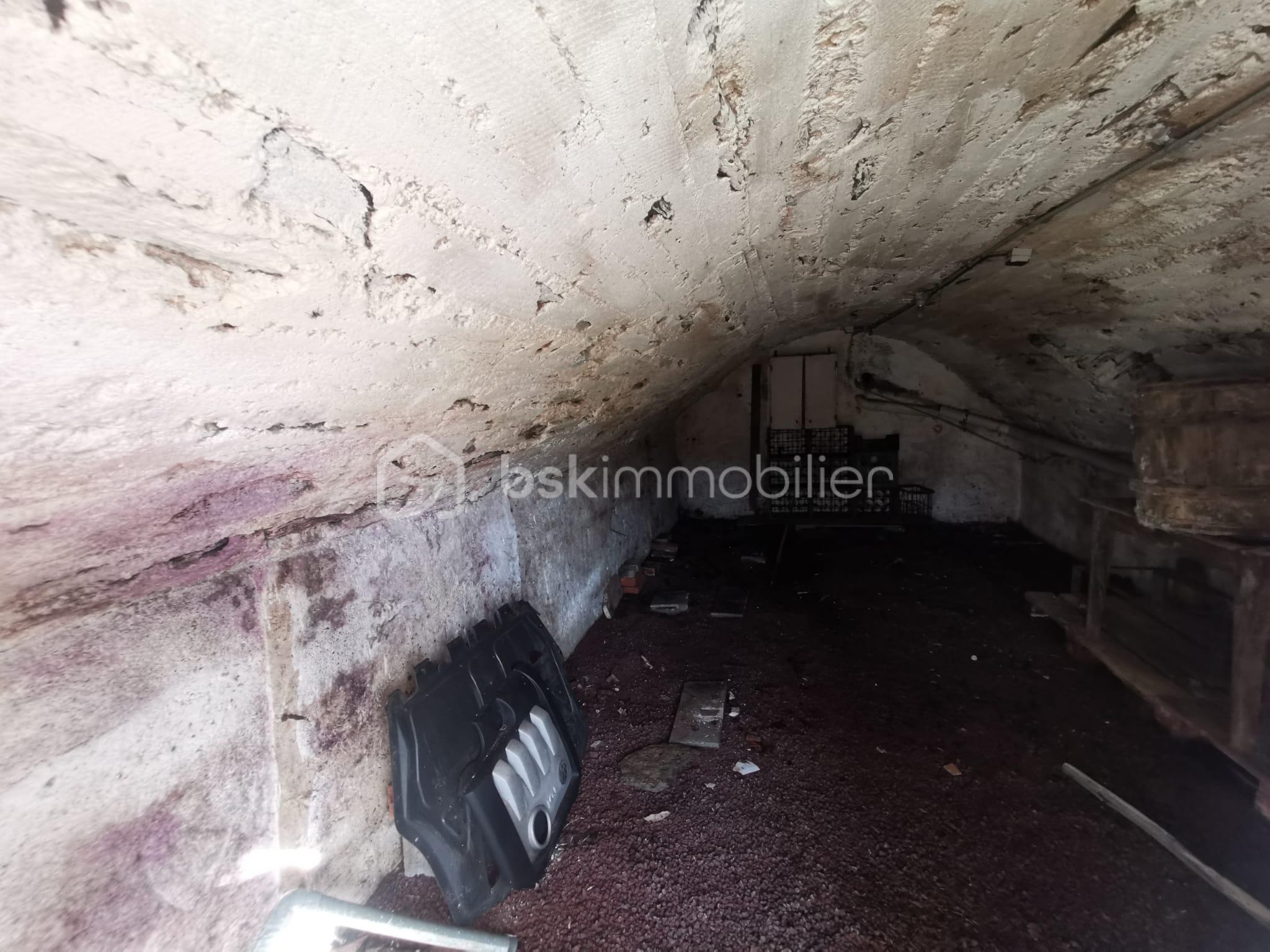 WhatsApp Image 2026-02-26 at 15.16.39 (23).jpeg