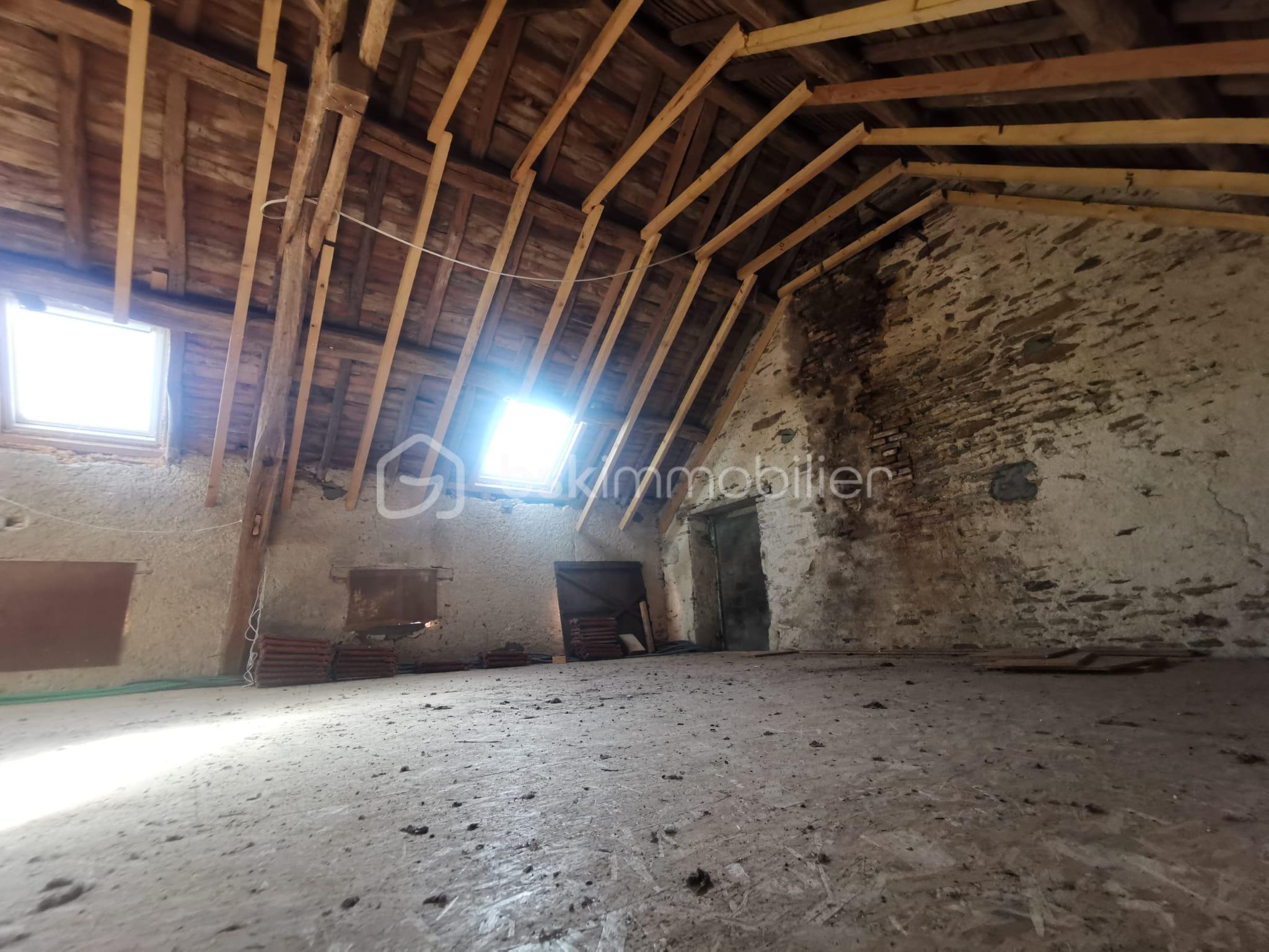 WhatsApp Image 2026-02-26 at 15.16.39 (10).jpeg