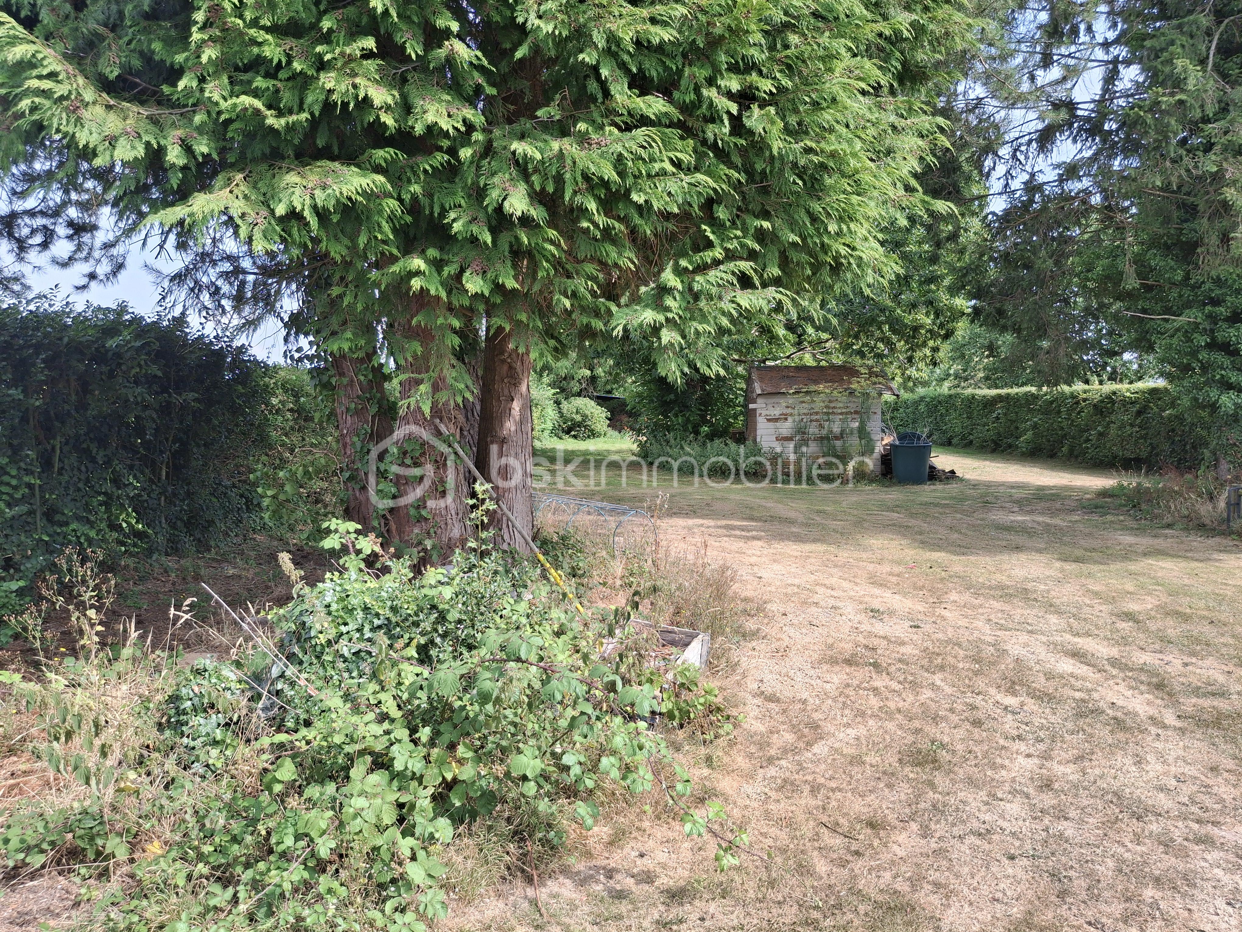 JARDIN PAYSAGE 24.07.png