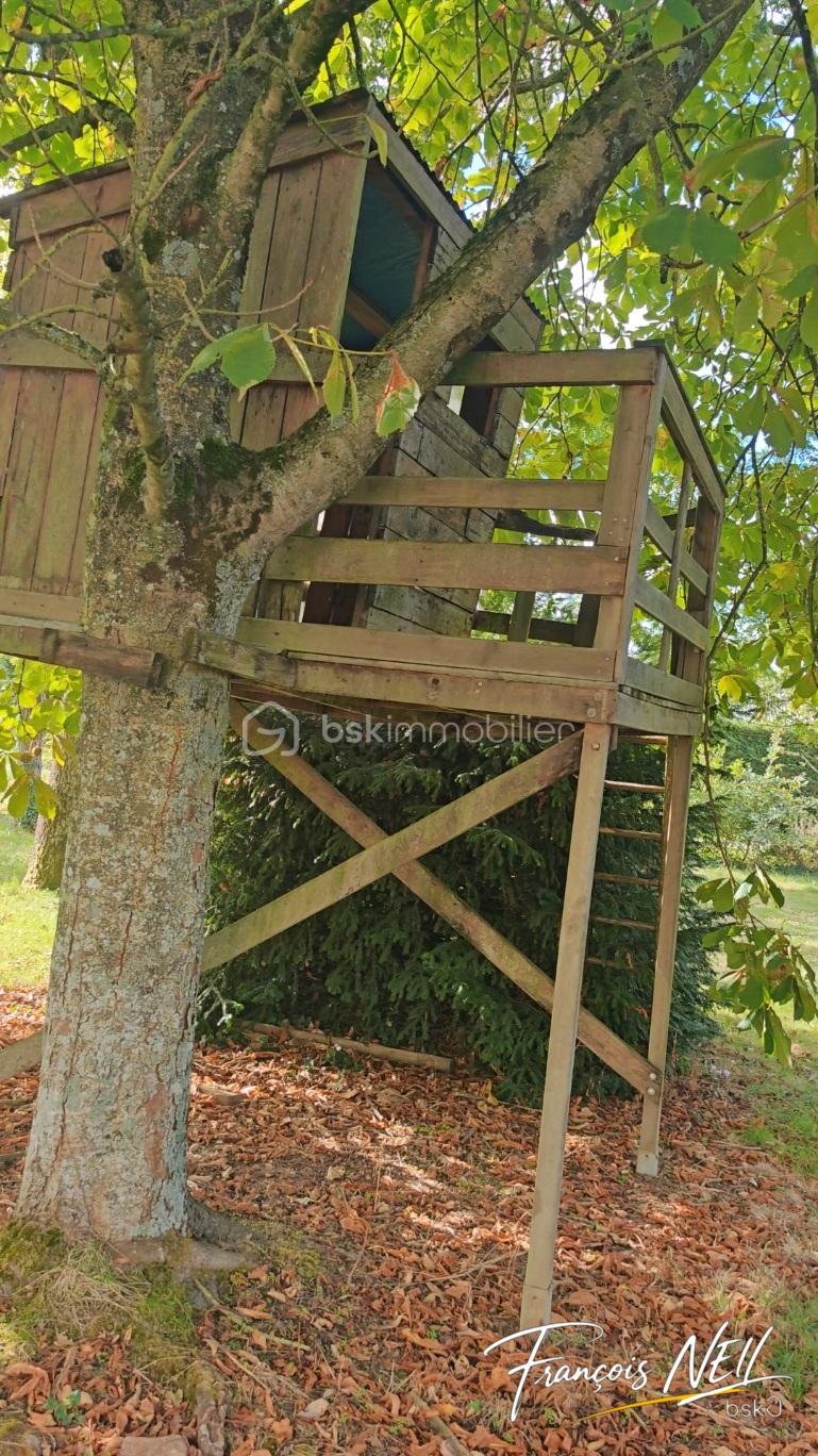 07_cabane_dans_arbre.jpg