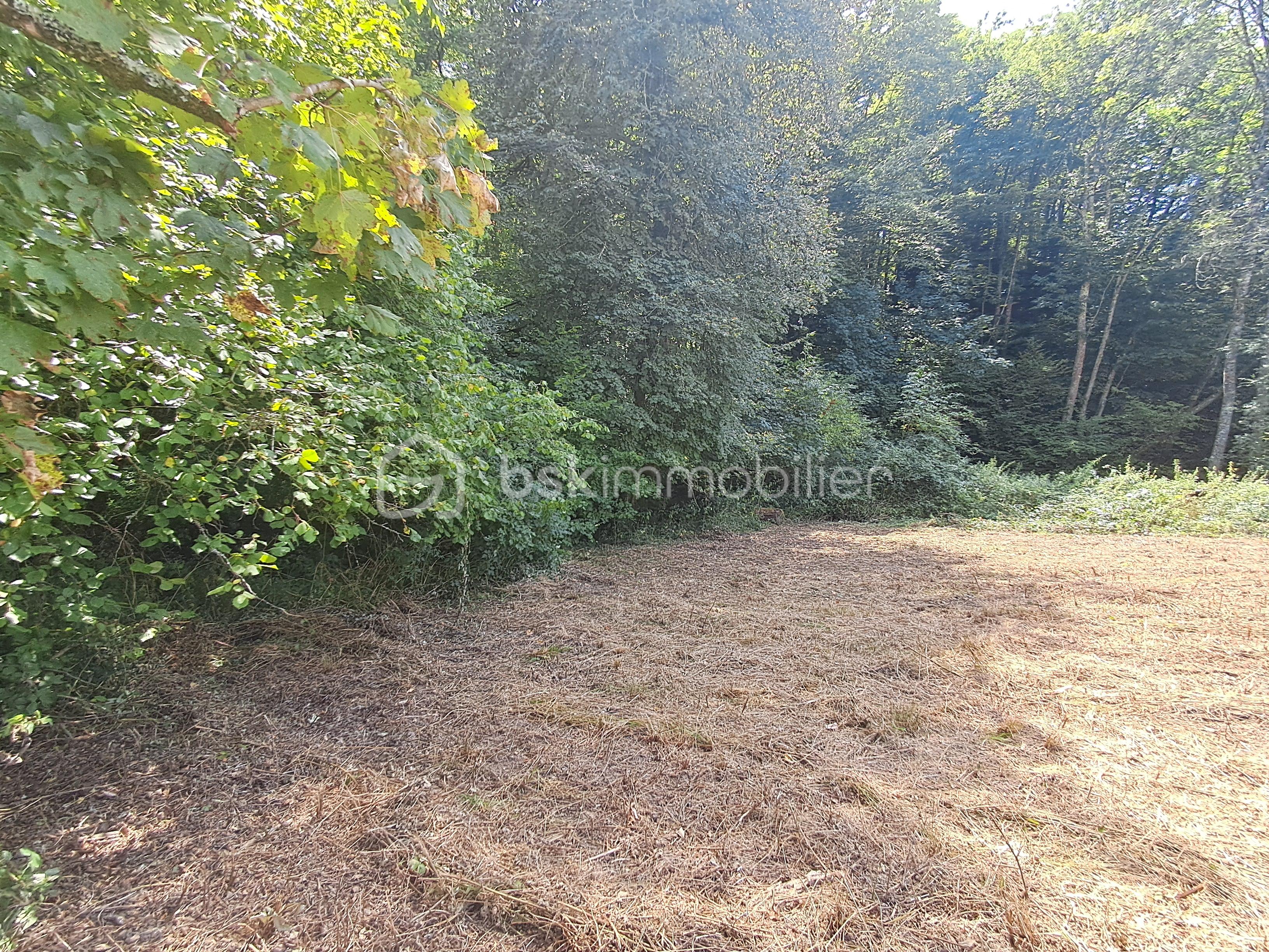 Terrain de 1 150 m² - 20250811_142840.jpg