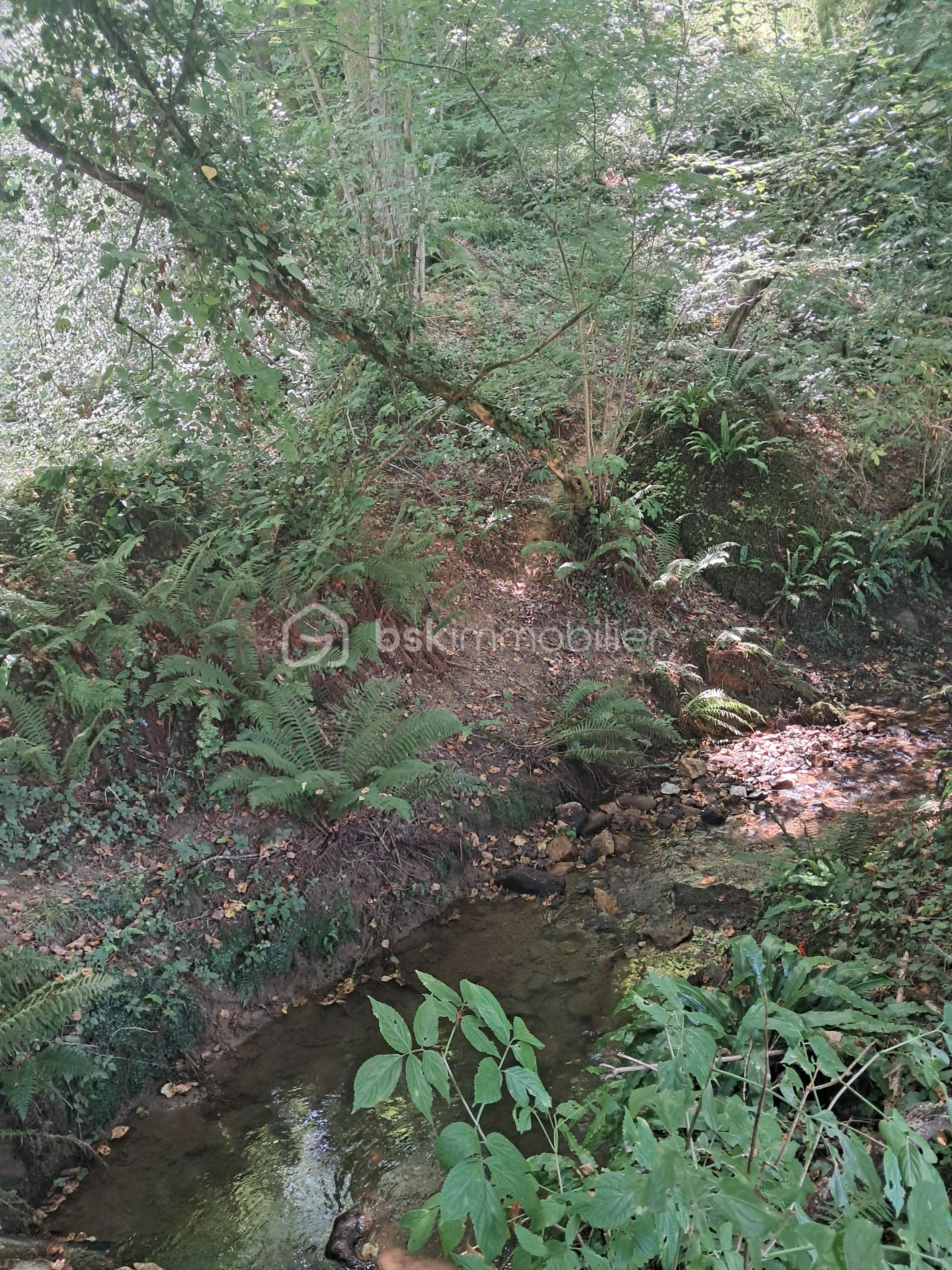 Terrain de 1 150 m² - 20250811_142746.jpg