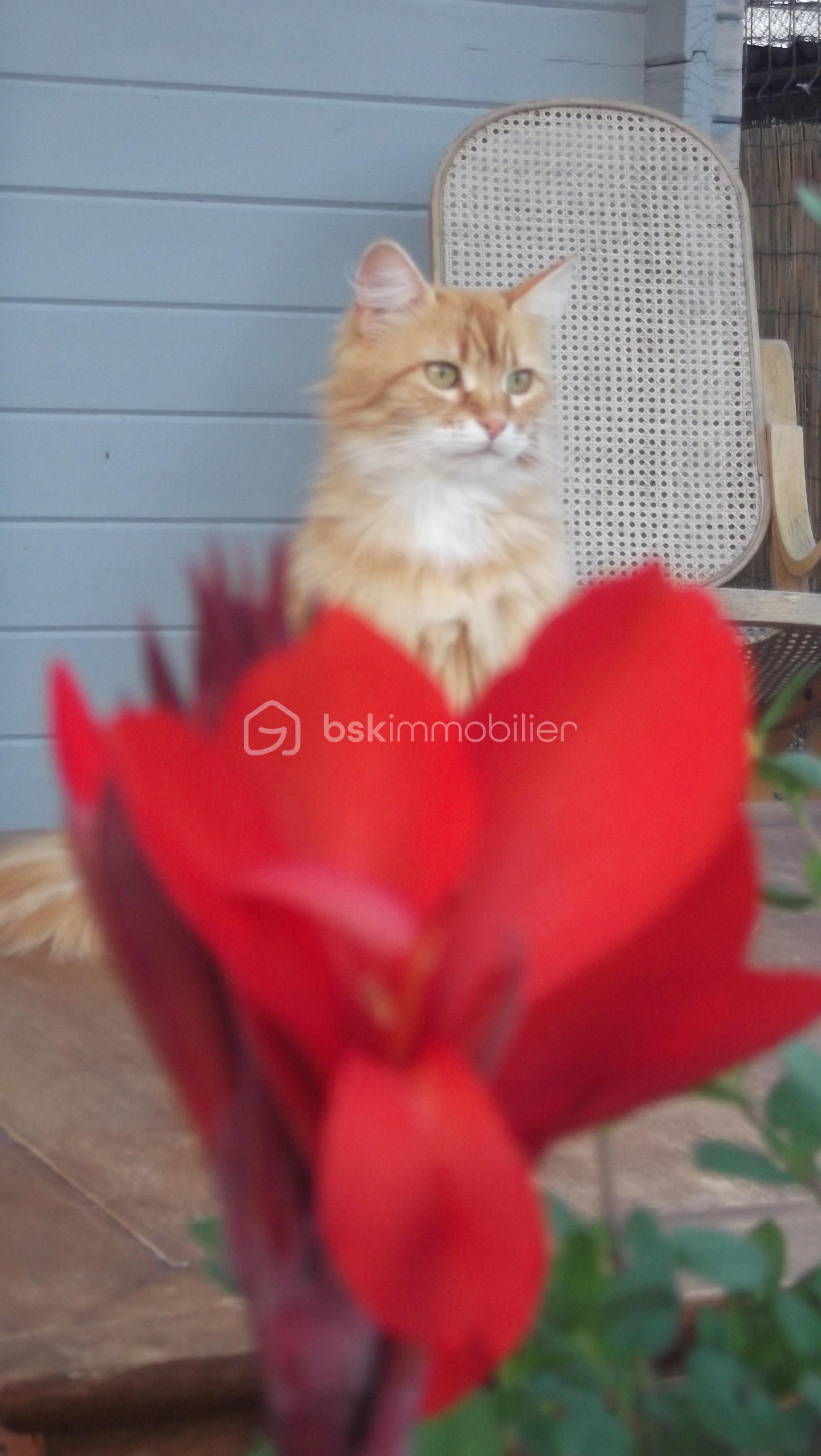 photo chat 2.jfif