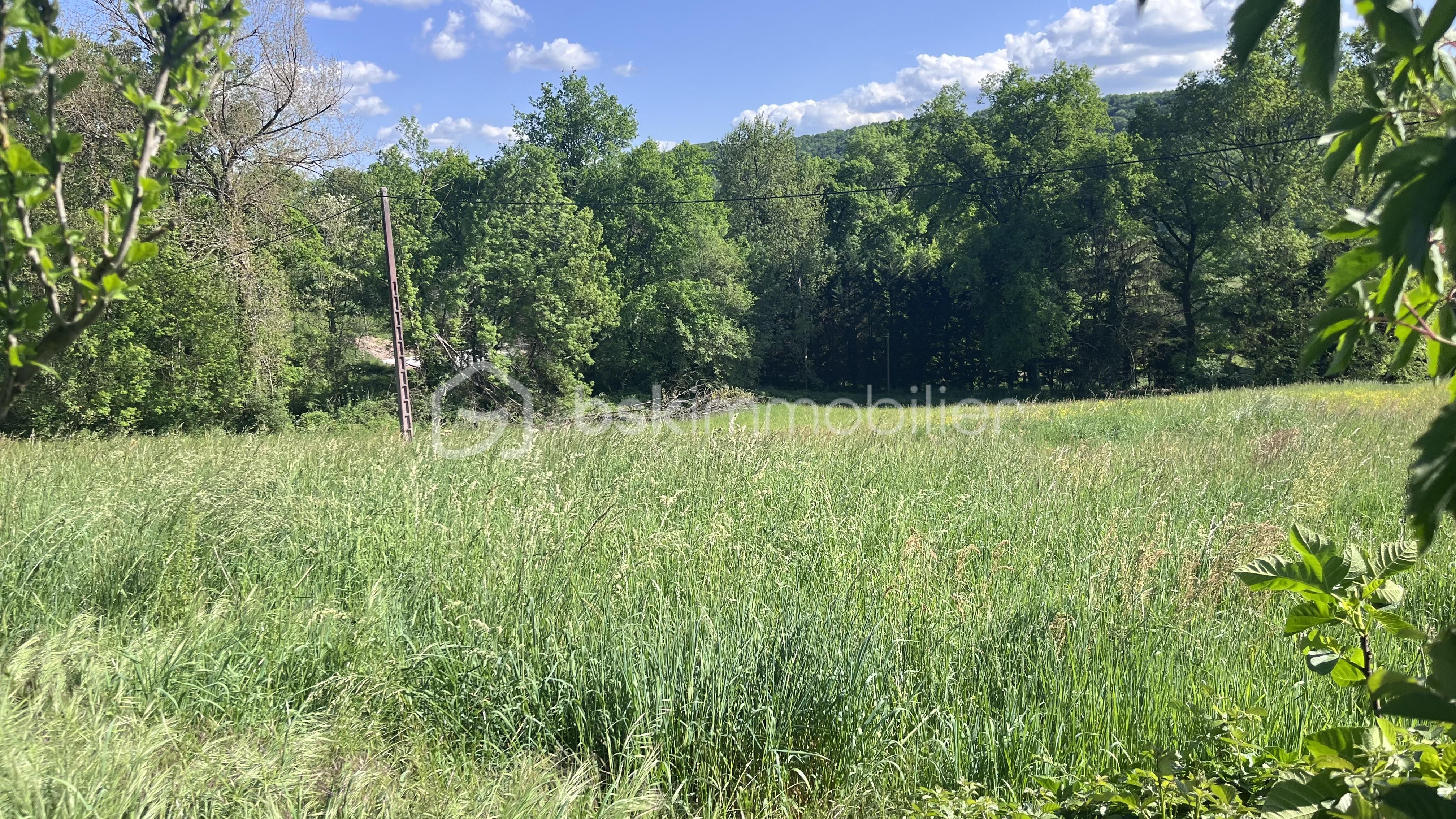 IMG_3553.jpeg
