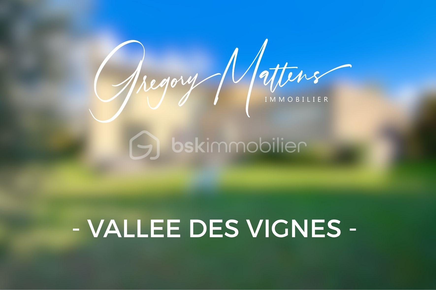 VALLEE DES VIGNES.jpg