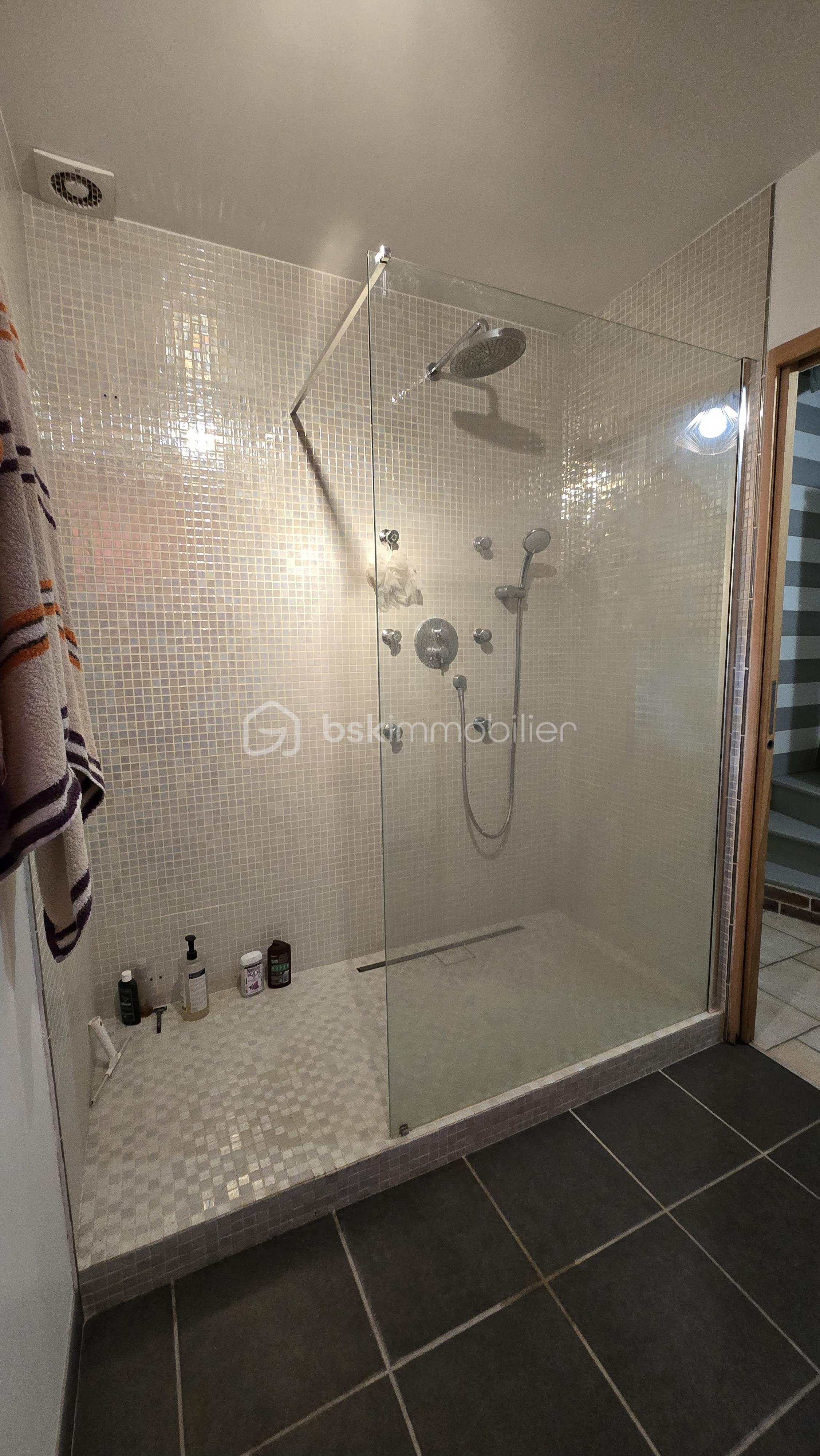 Maison ancienne de 141,32 m² - douche.png