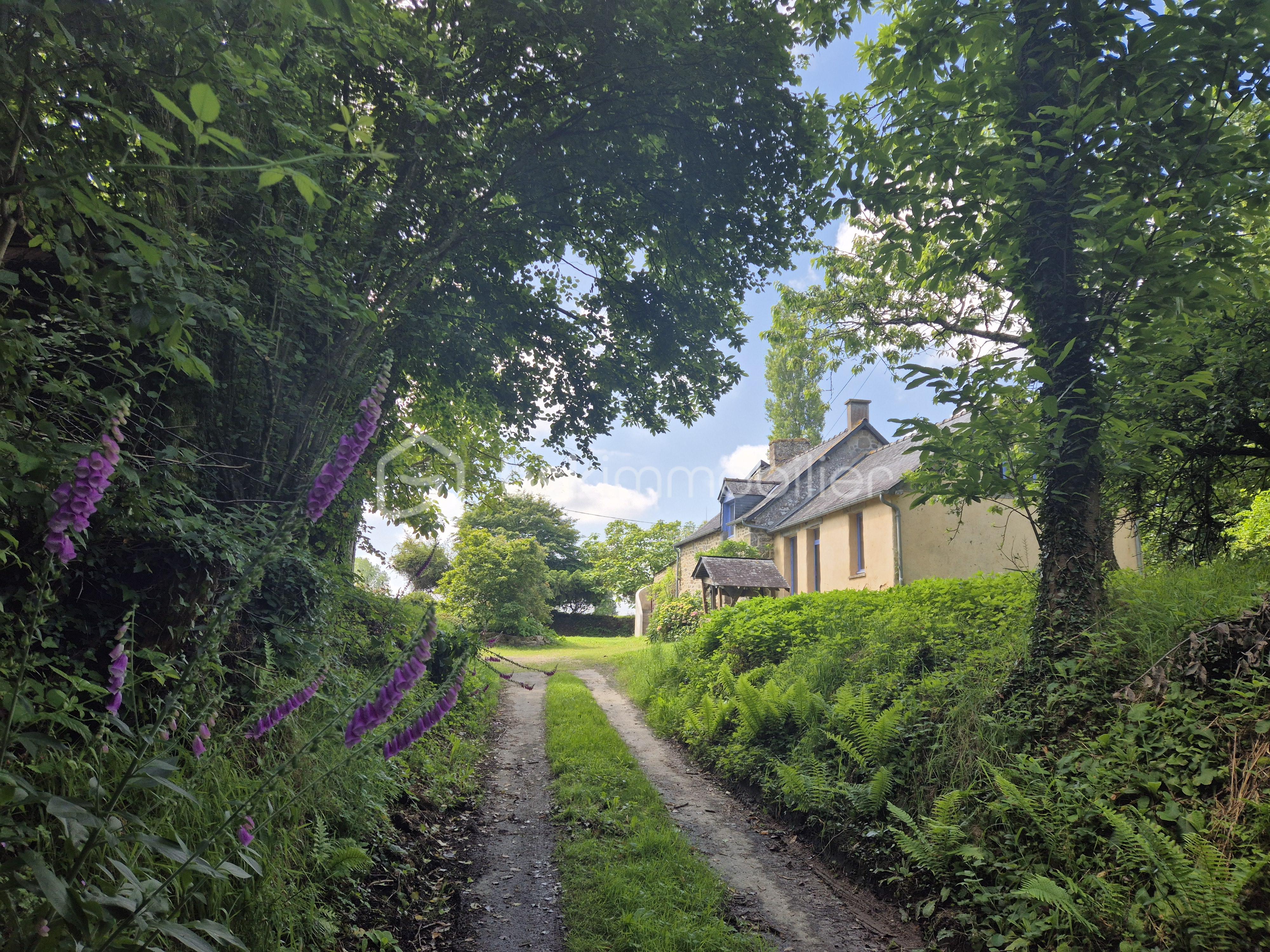 Maison longere de 180 m² - 20240621_120005.jpg