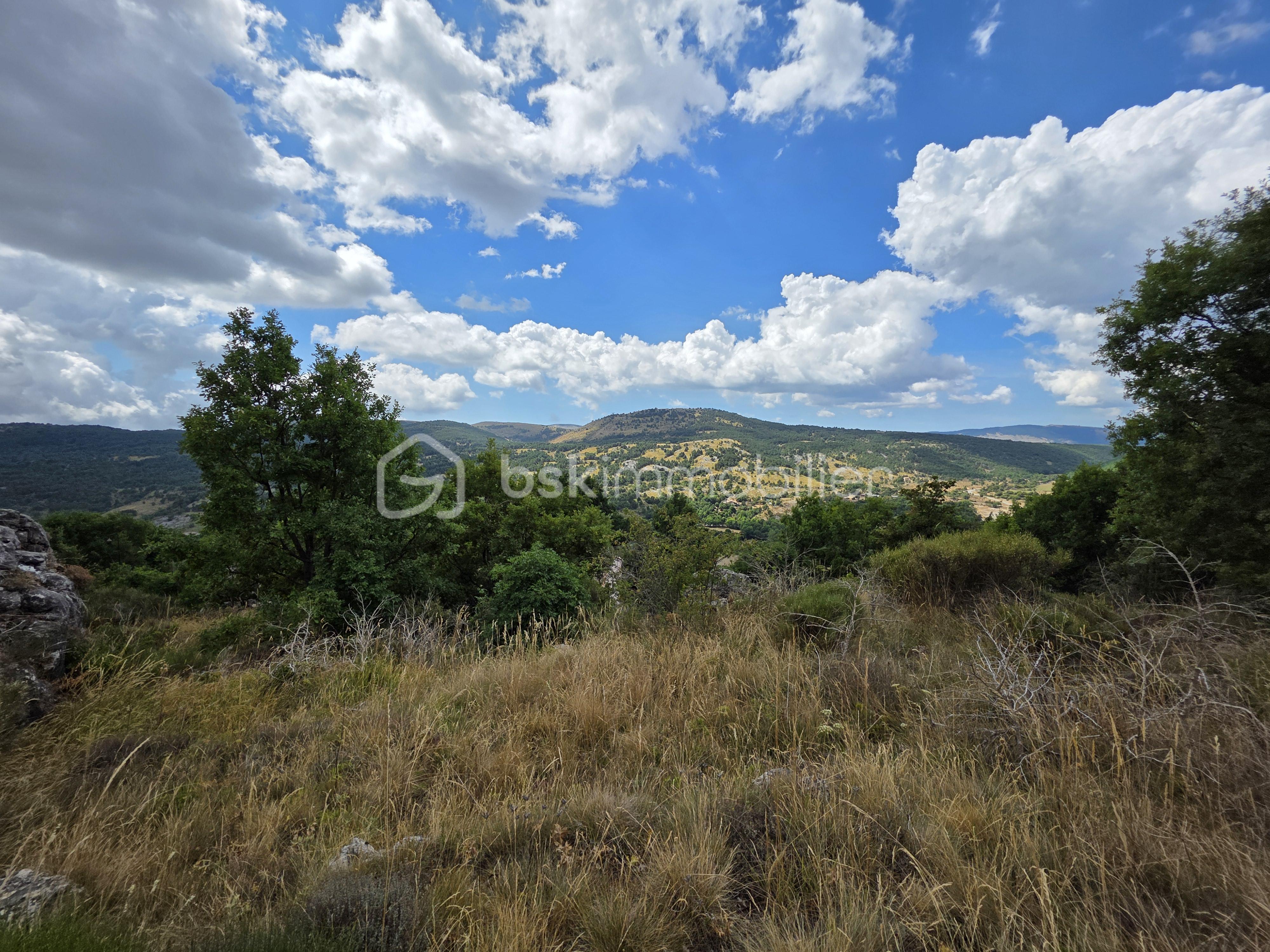Terrain de 1 660 m² - 7- 20250803_115901.jpg