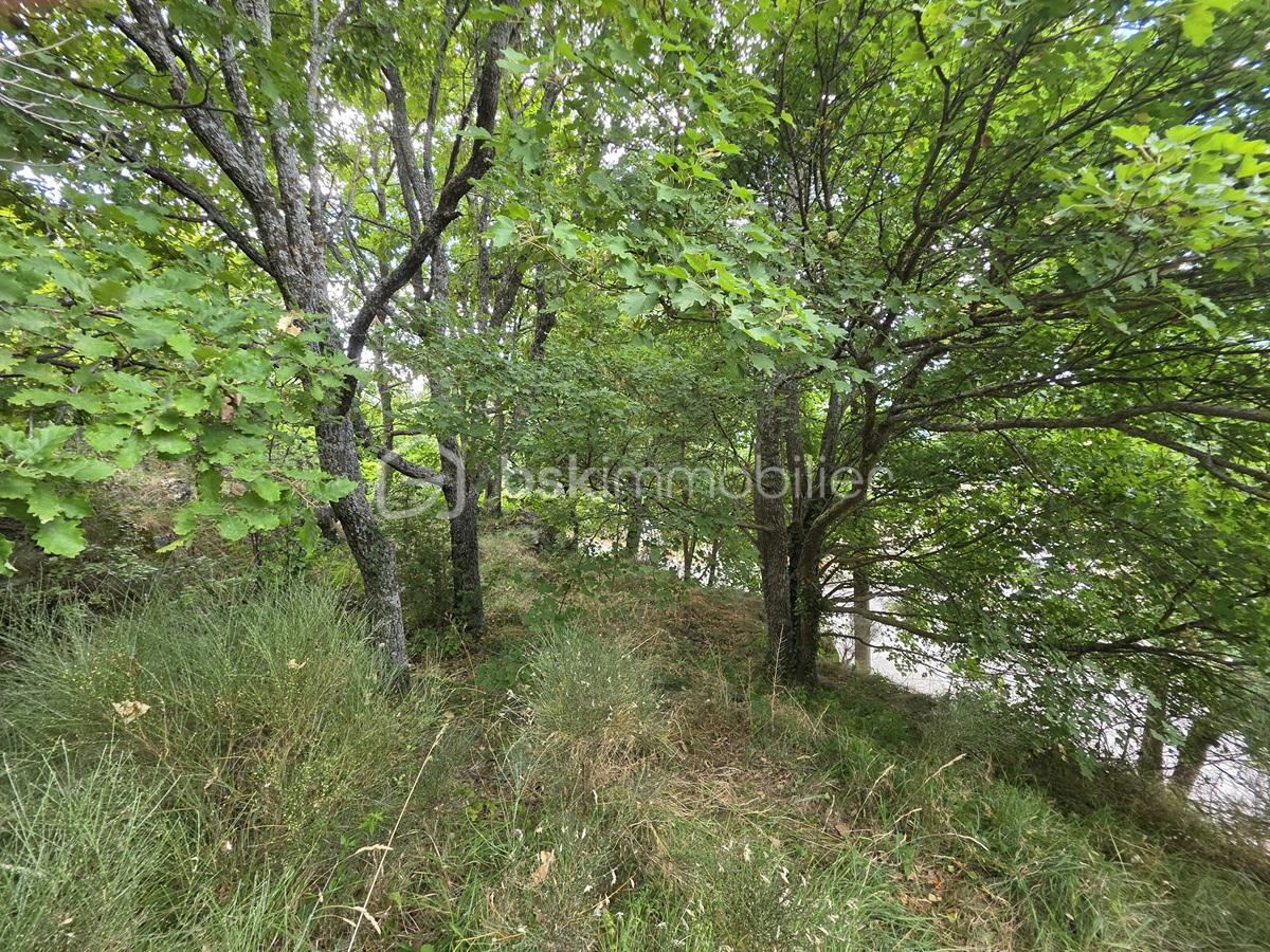 Terrain de 1 660 m² - 1- 20250803_114151.jpg