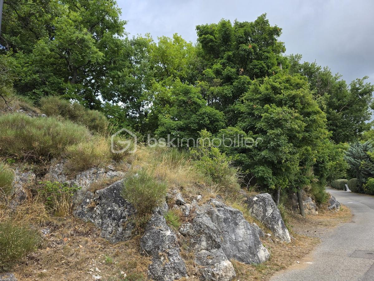 Terrain de 1 660 m² - 3.jpg