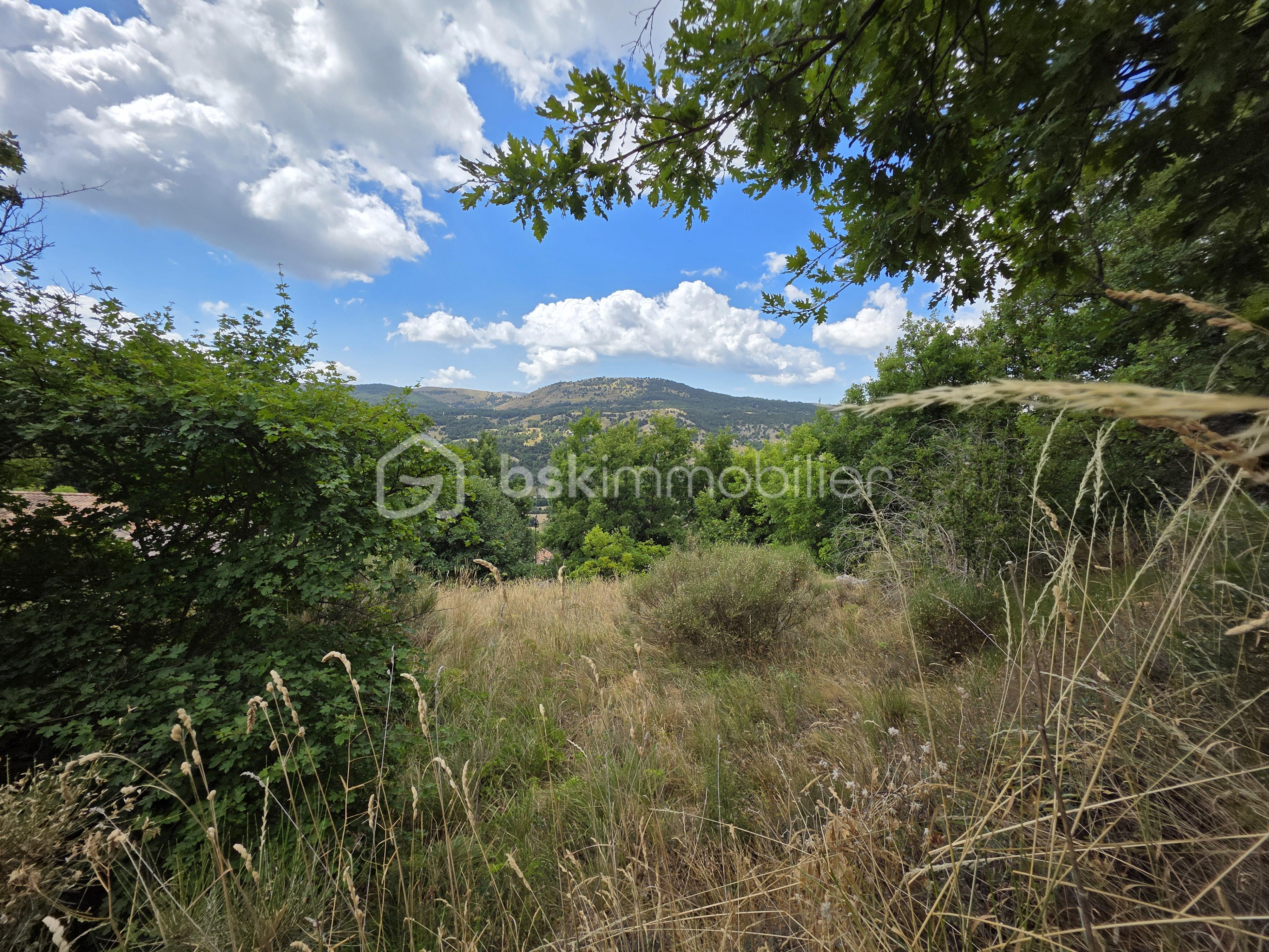 Terrain de 1 660 m² - 4- 20250803_114848.jpg