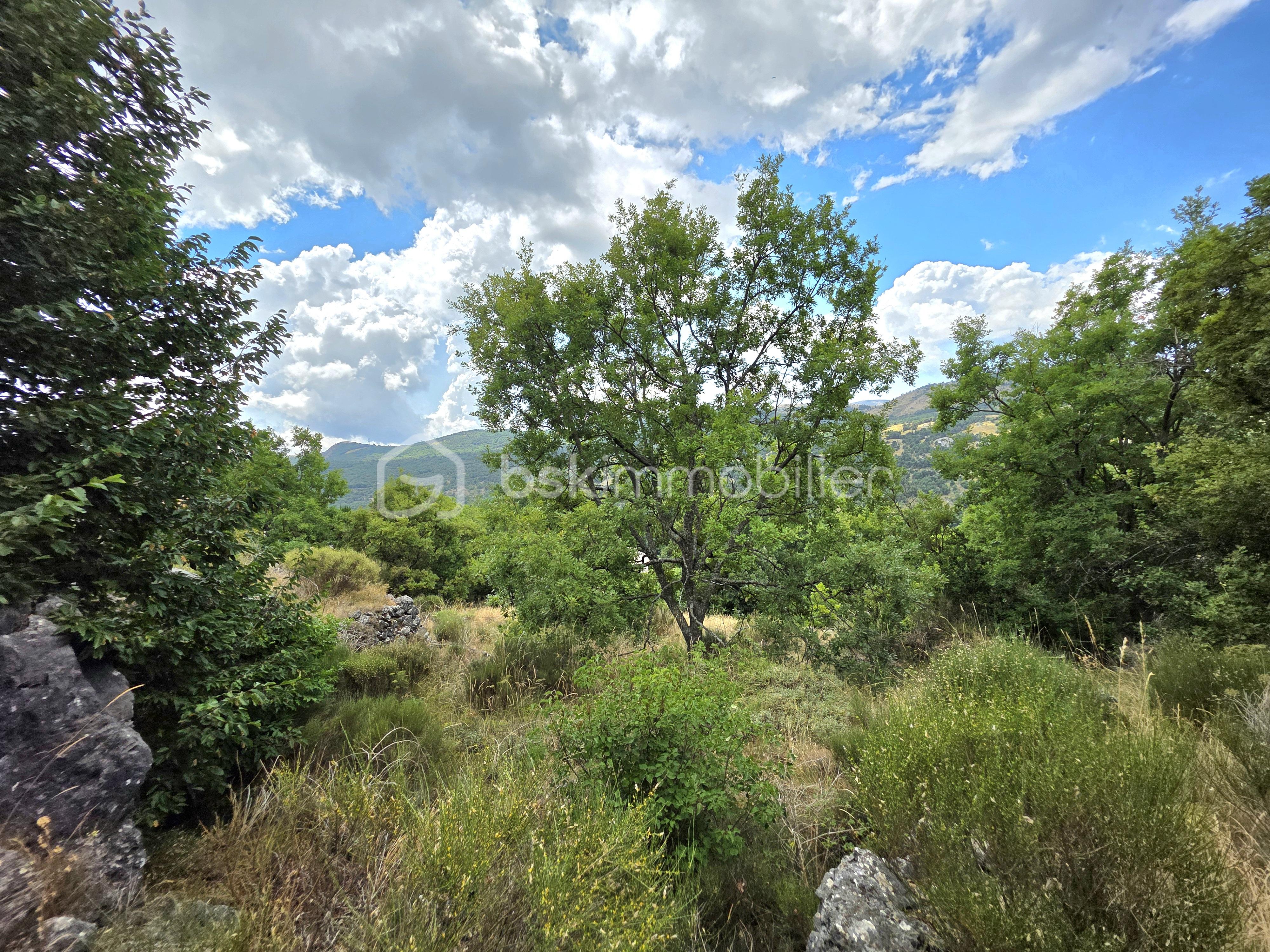 Terrain de 1 660 m² - 6- 20250803_115248.jpg