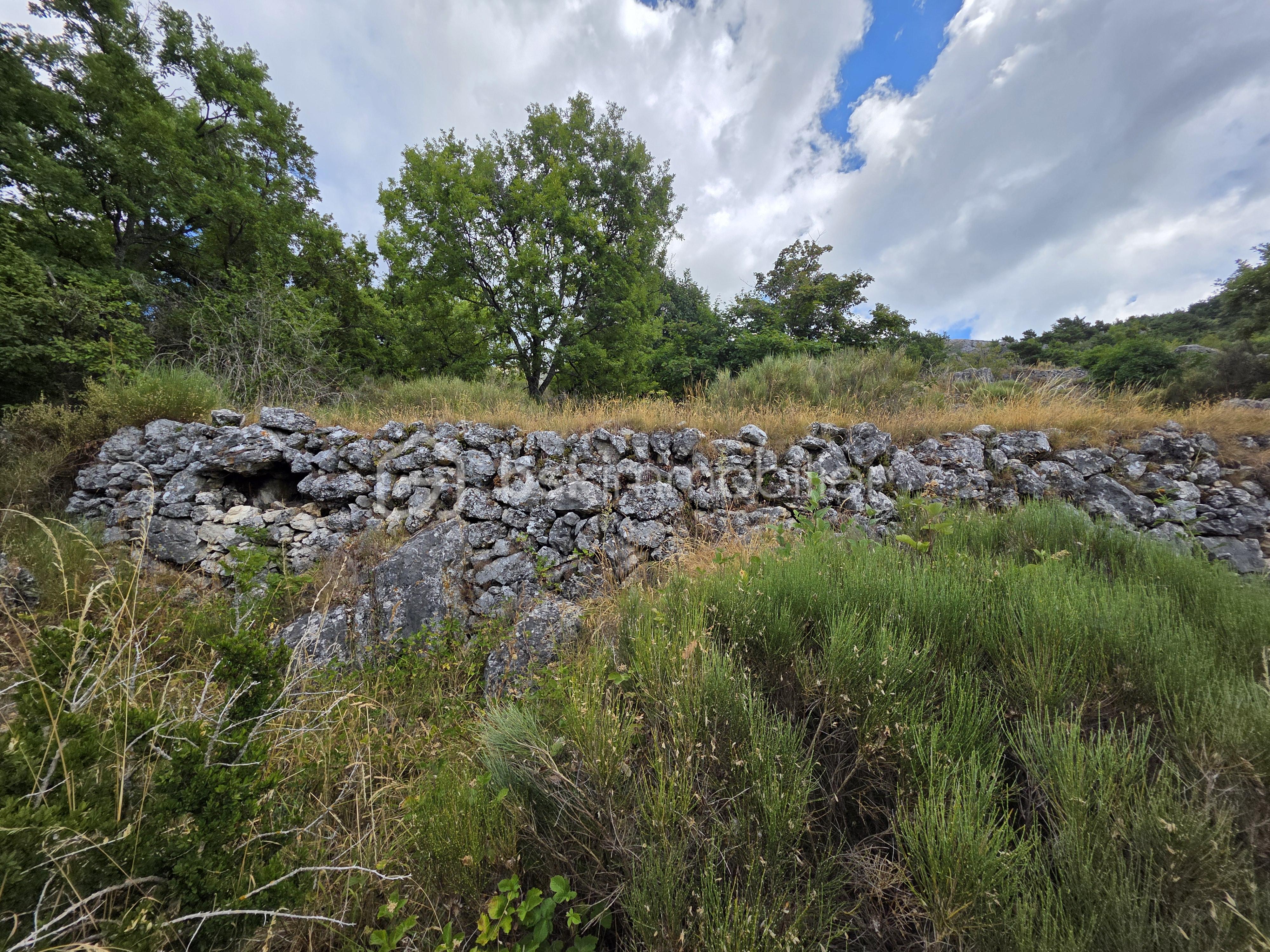 Terrain de 1 660 m² - 8- 20250803_114411.jpg