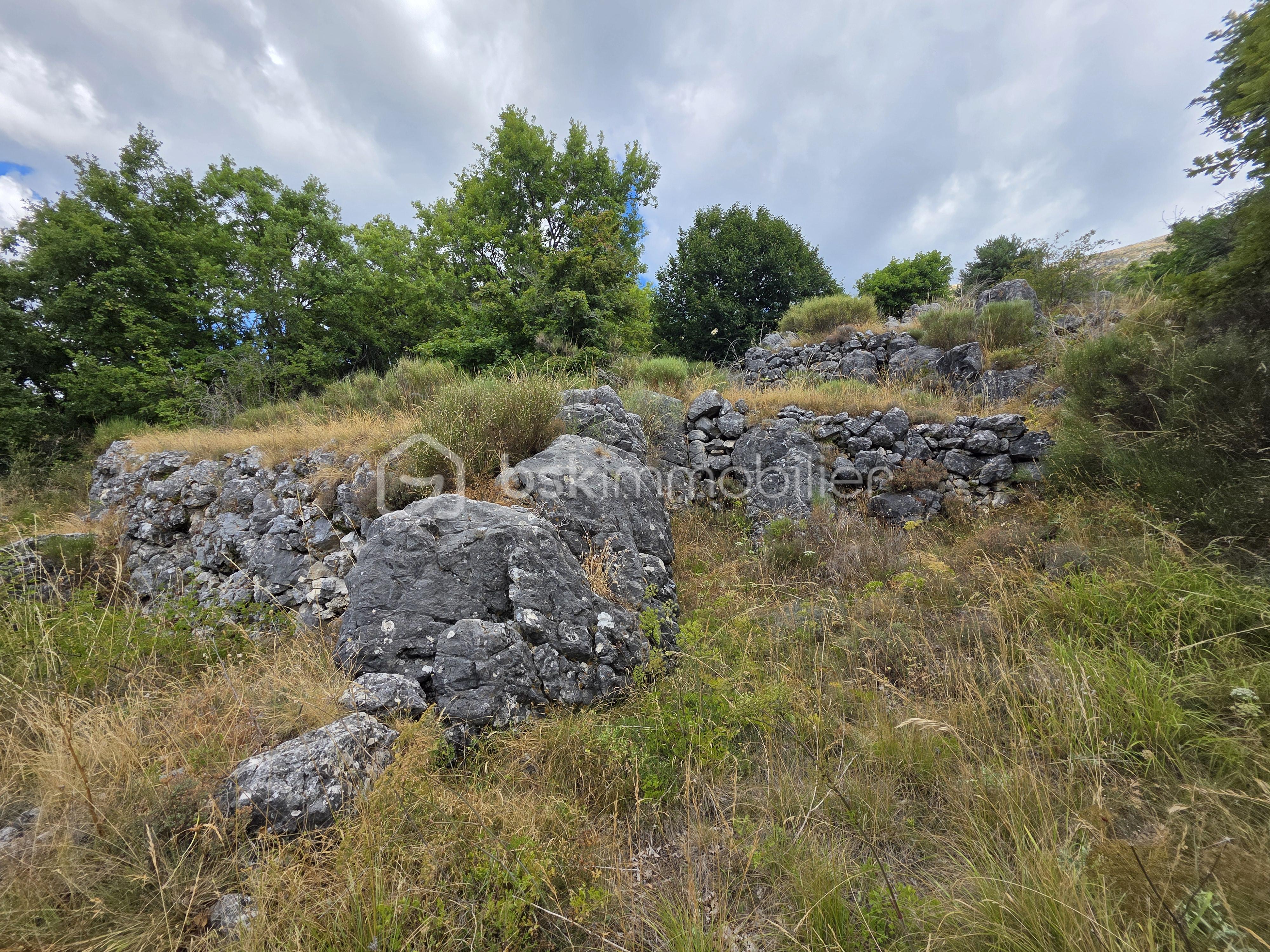 Terrain de 1 660 m² - 9- 20250803_114615.jpg