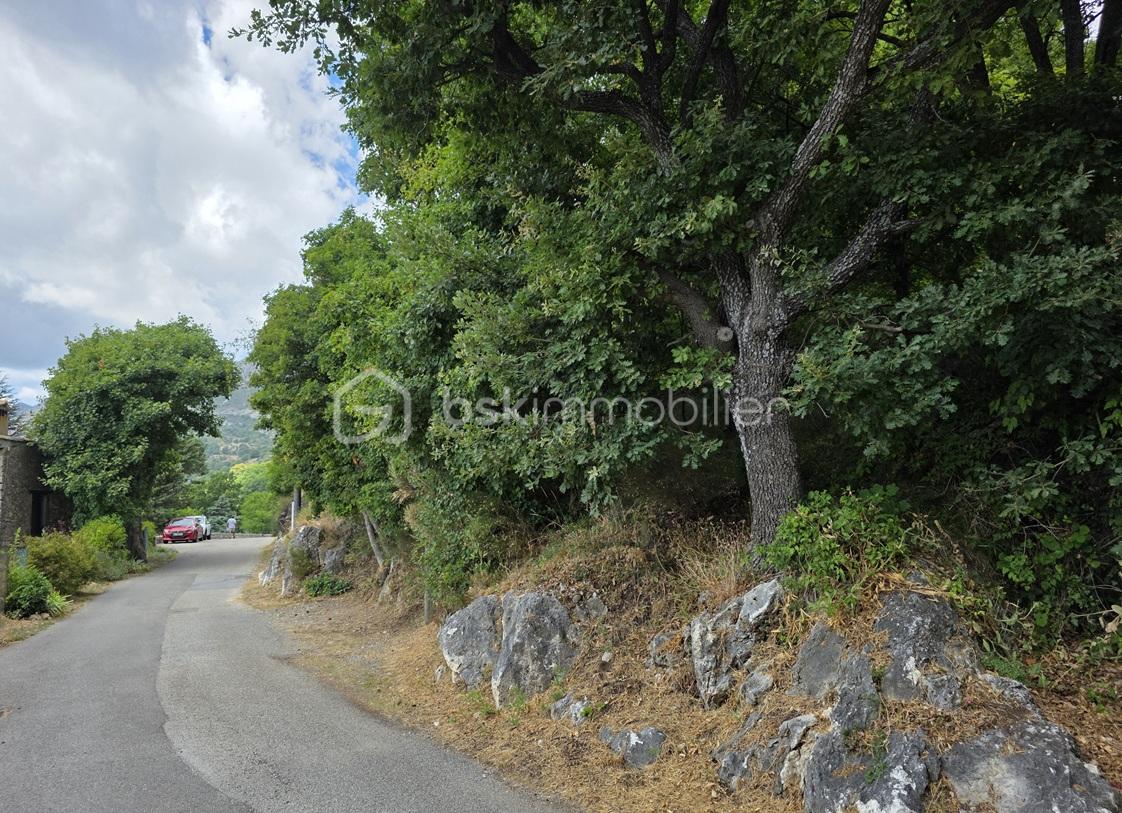 Terrain de 1 660 m² - 2- 20250803_120918.jpg