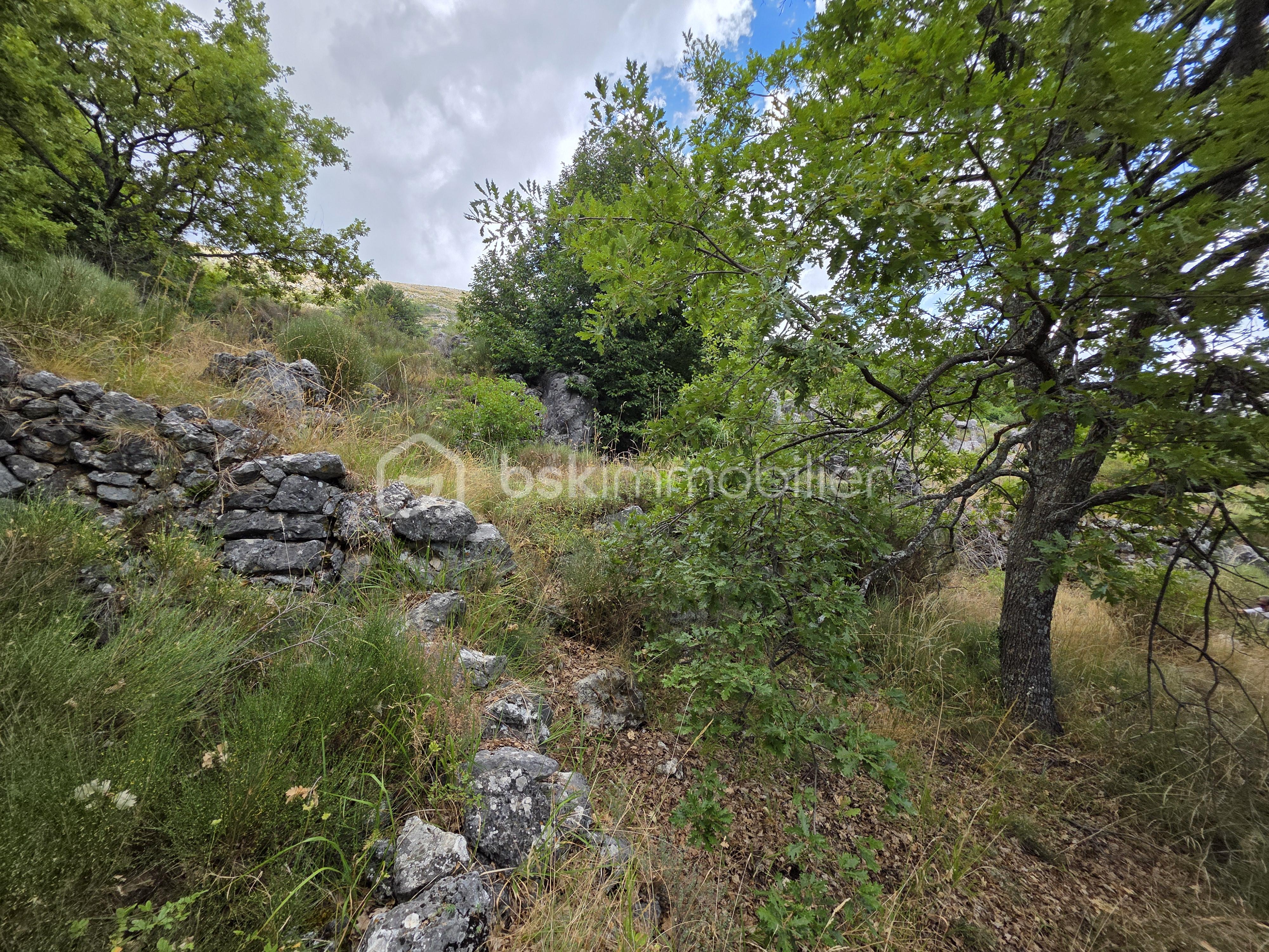 Terrain de 1 660 m² - 5- 20250803_114910.jpg