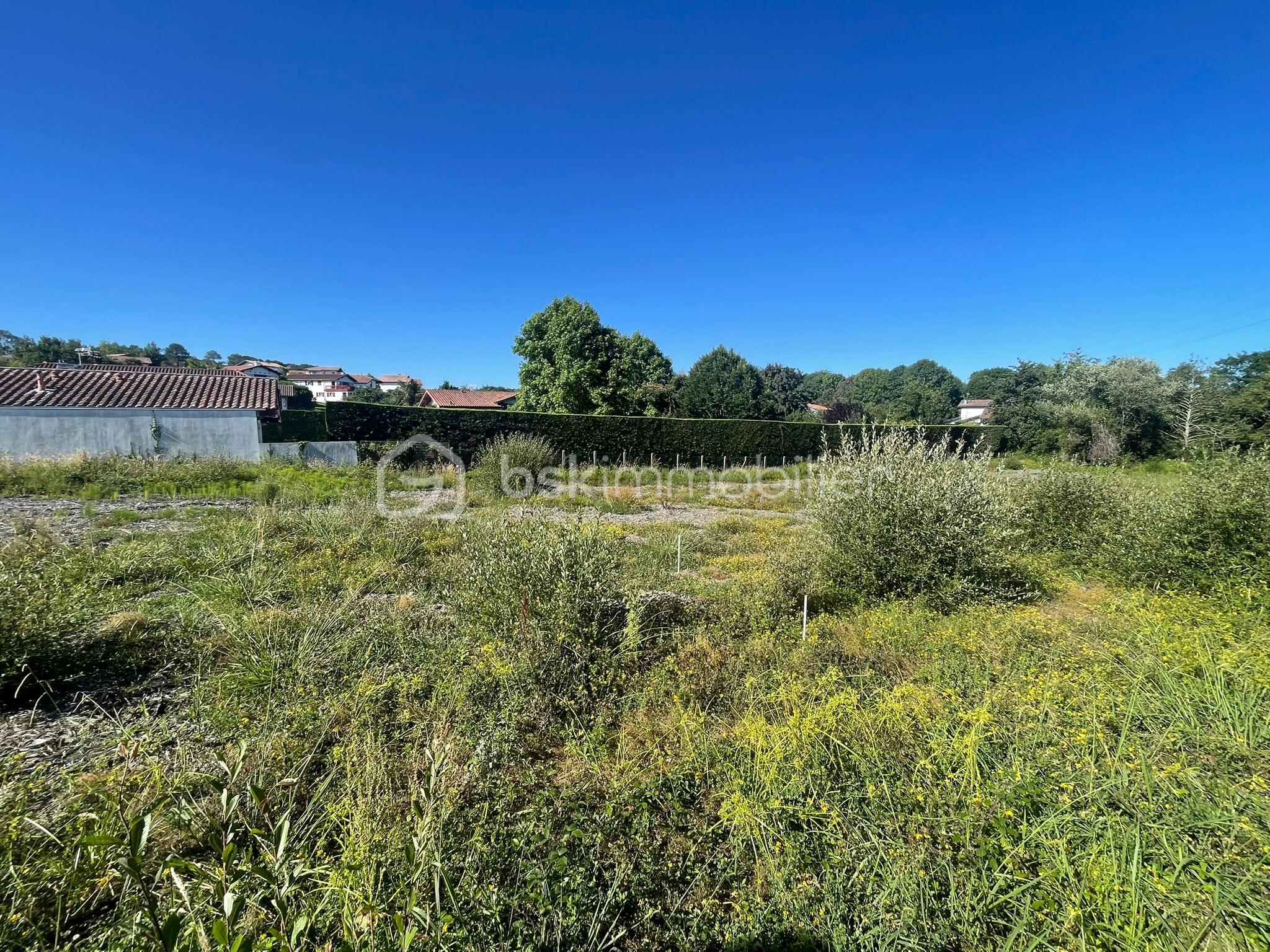 c5f17679-1525-47cc-a8e6-c55b093e0f05.JPG