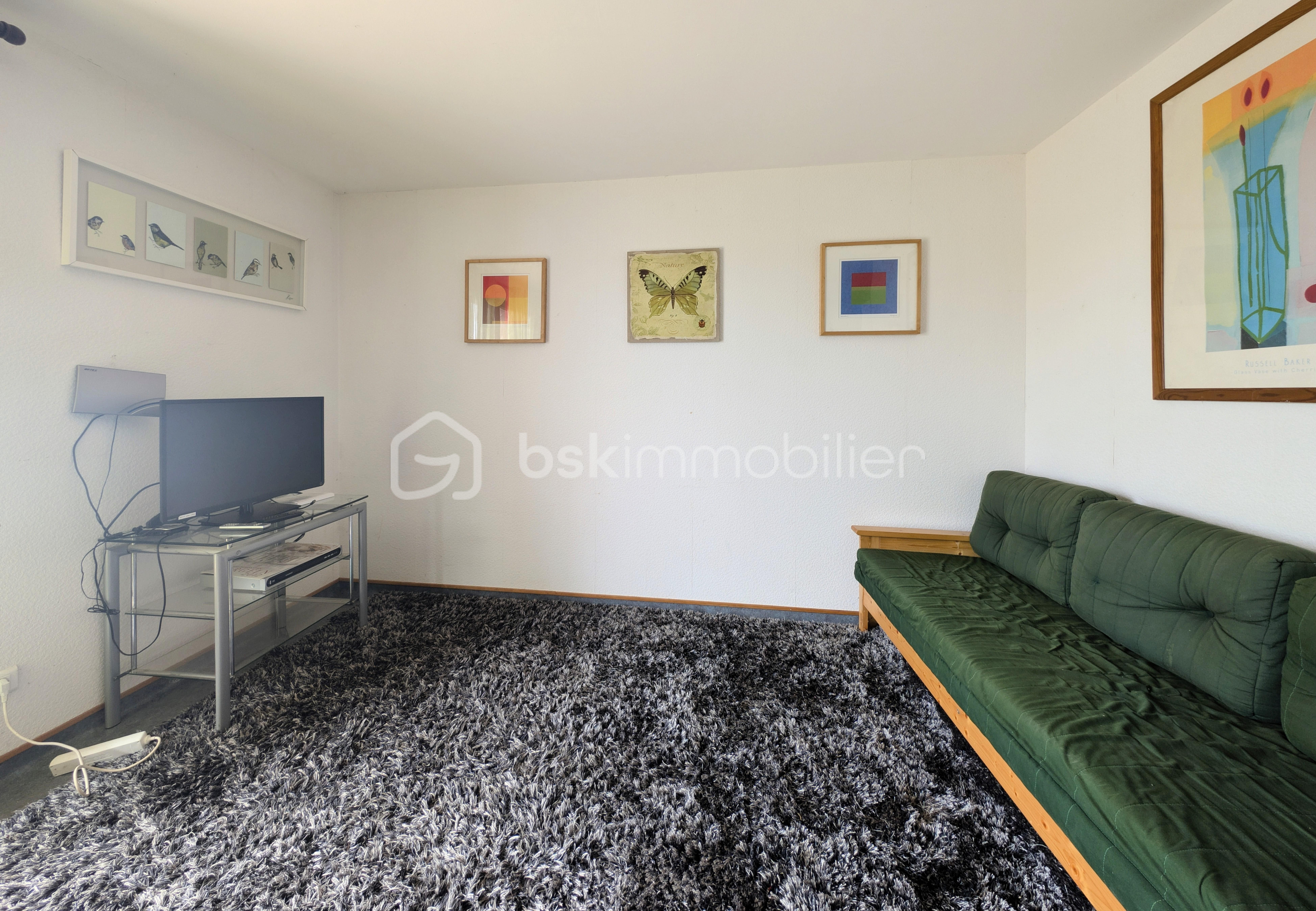 Propriete de 257 m² - SALON APPARTEMENT 1.jpg