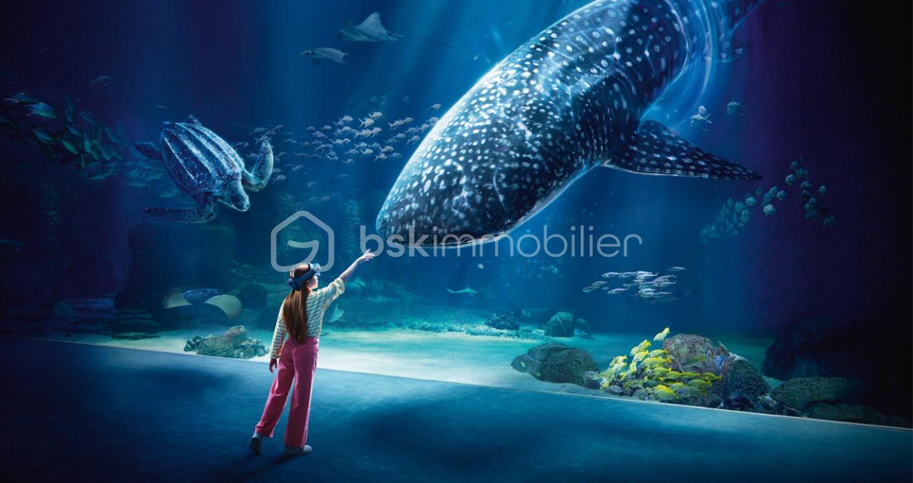 Appartement de 48 m² - sarfati nausicaa.jpg