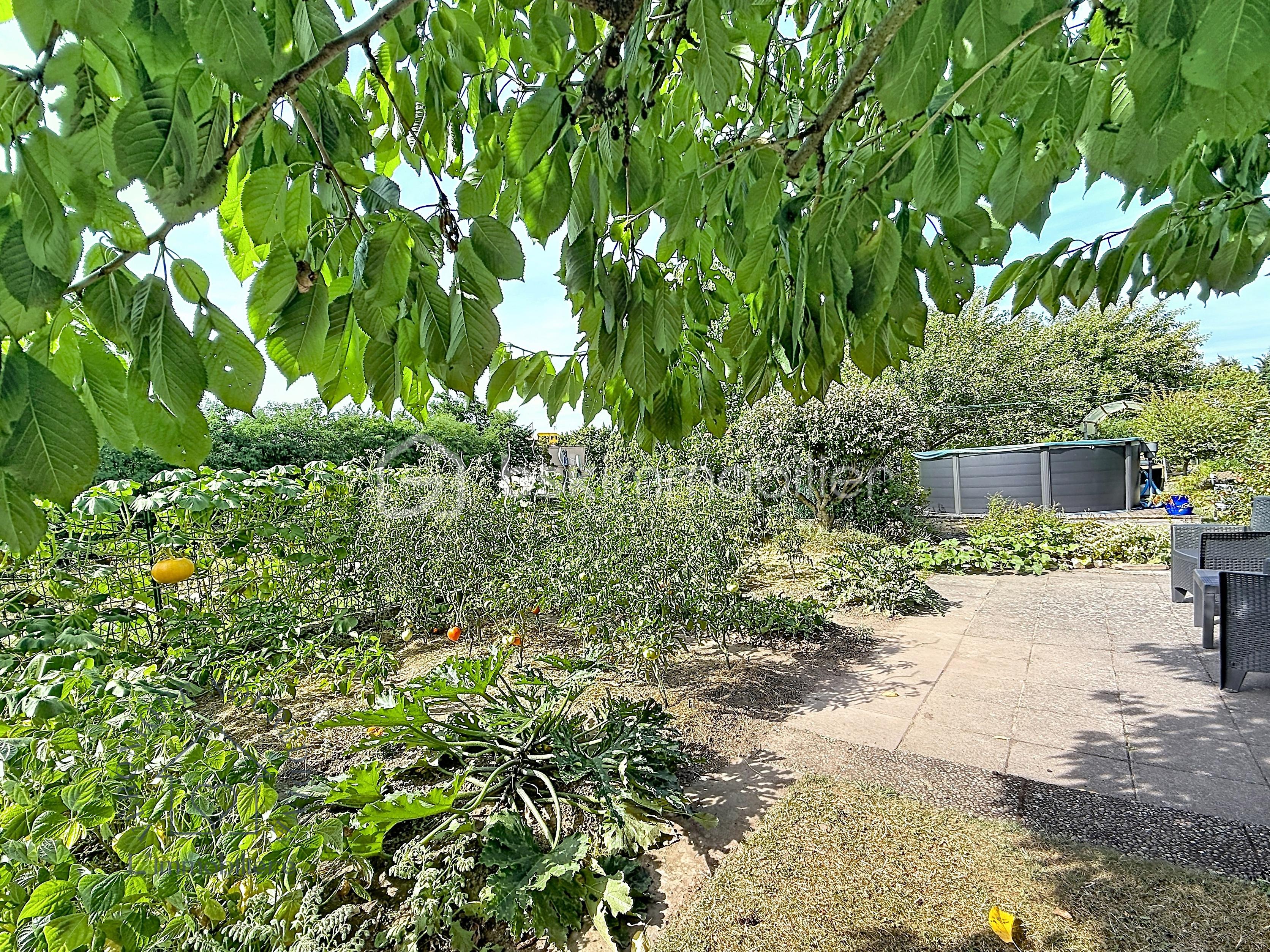 BEST ARBRE JARDIN.jpg