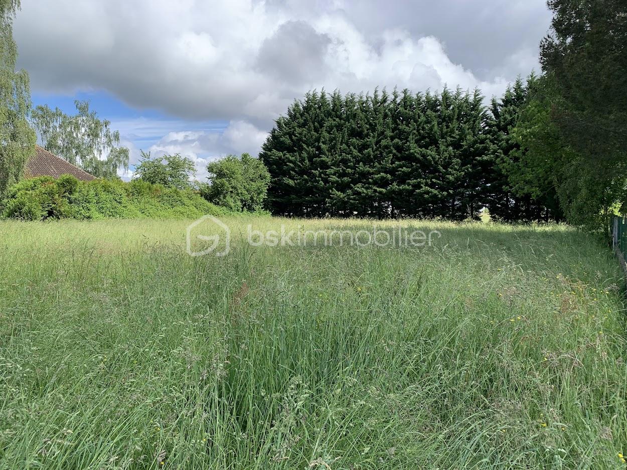 Terrain de 1 978 m² - IMG_6323.jpg