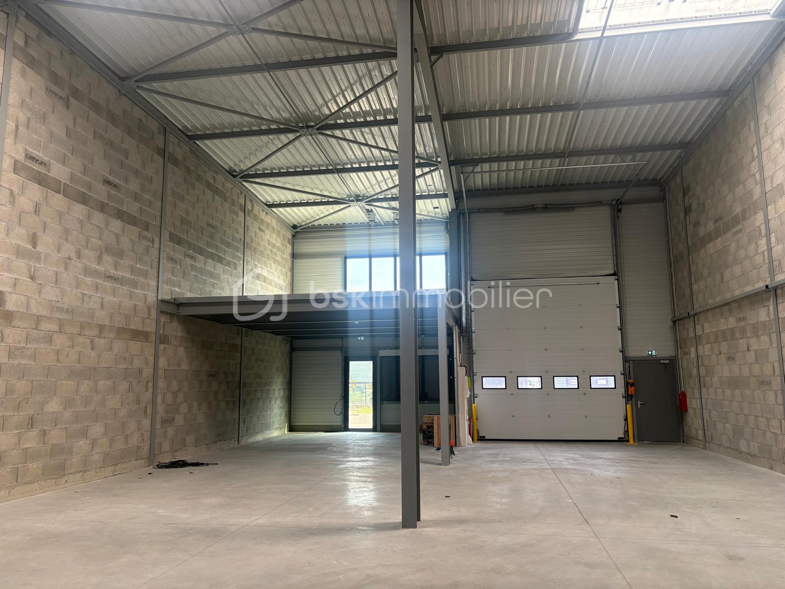 WhatsApp Image 2026-02-28 at 13.48.00.jpeg