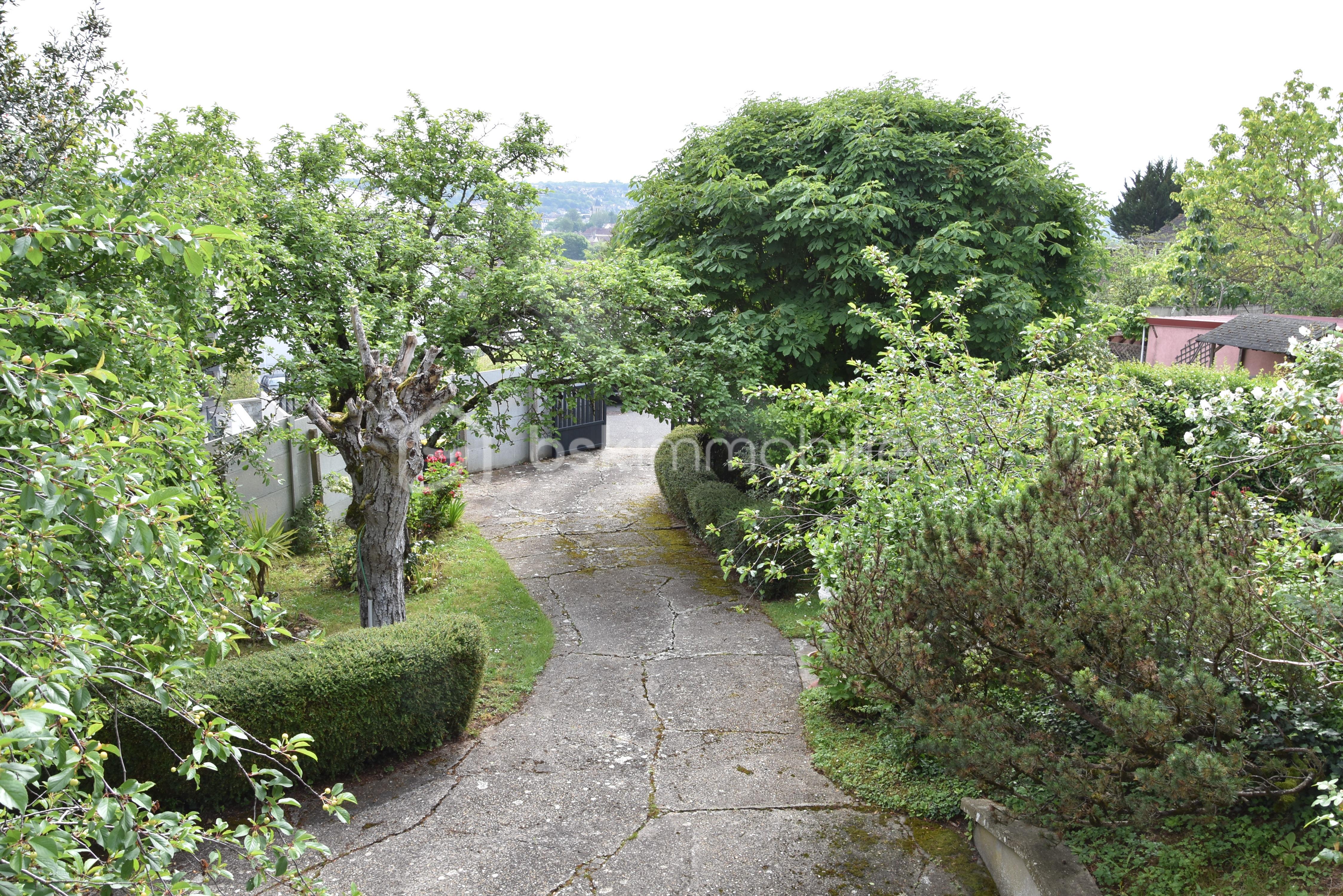DSC_1461.JPG