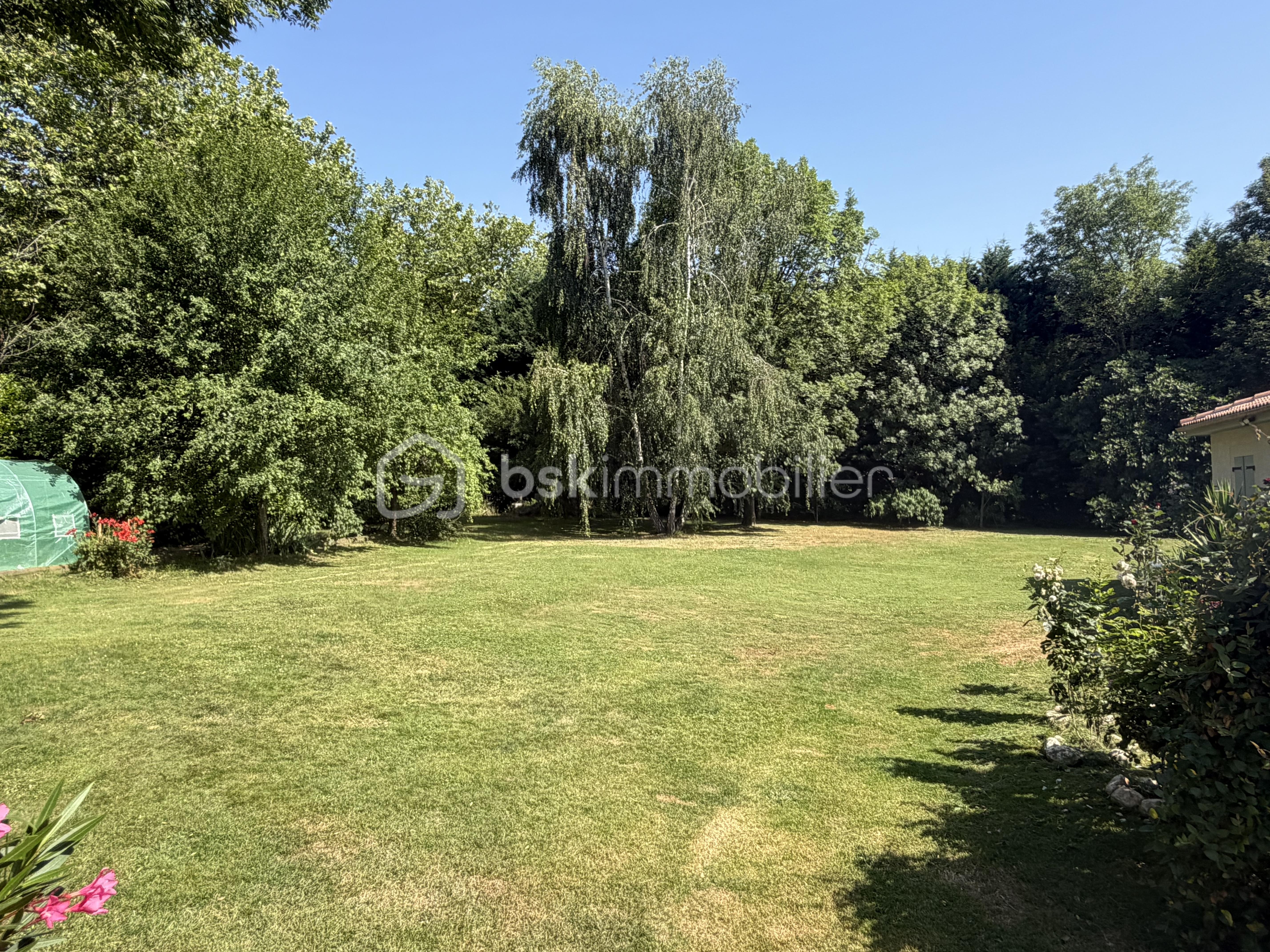 F938846E-CDD2-4BB2-83C7-E080D07D8A65 2.JPG