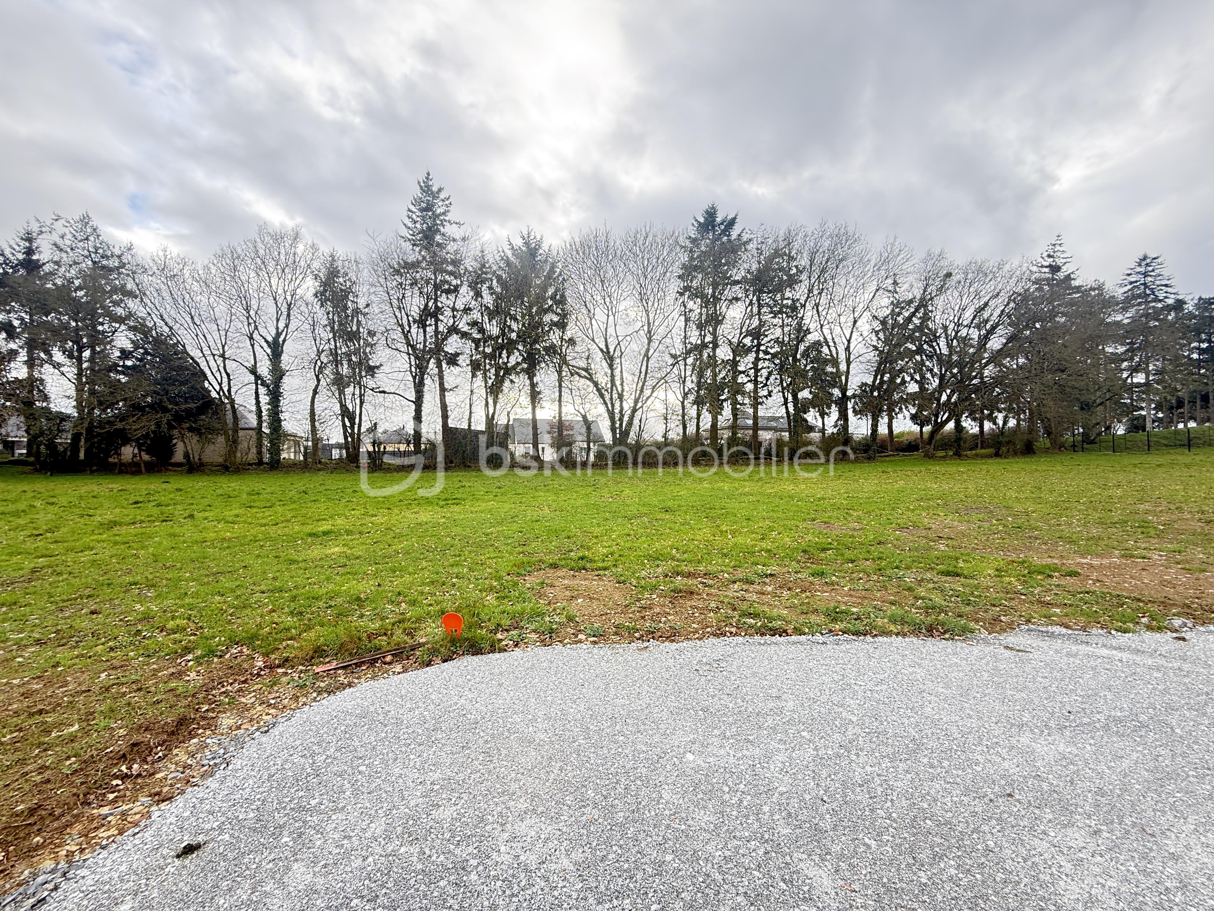 Terrain de 995 m² - IMG_8983.JPG