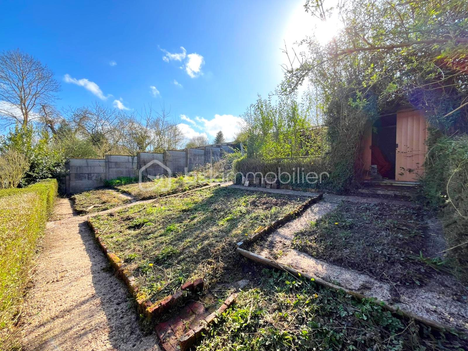 Maison de 75 m² - Jardin 2.jpg