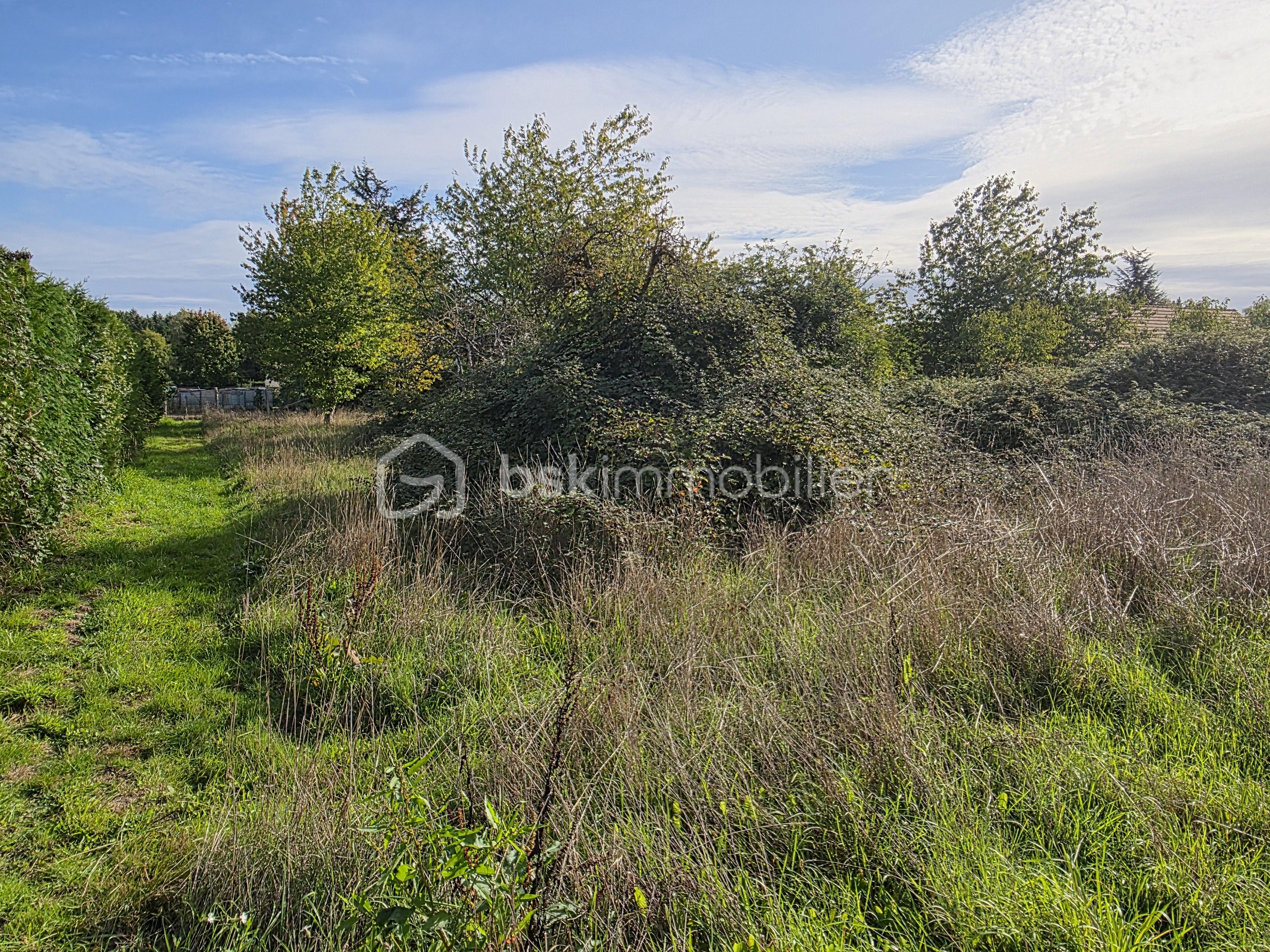 Terrain de 1 831 m² - 20250923_102553.jpg