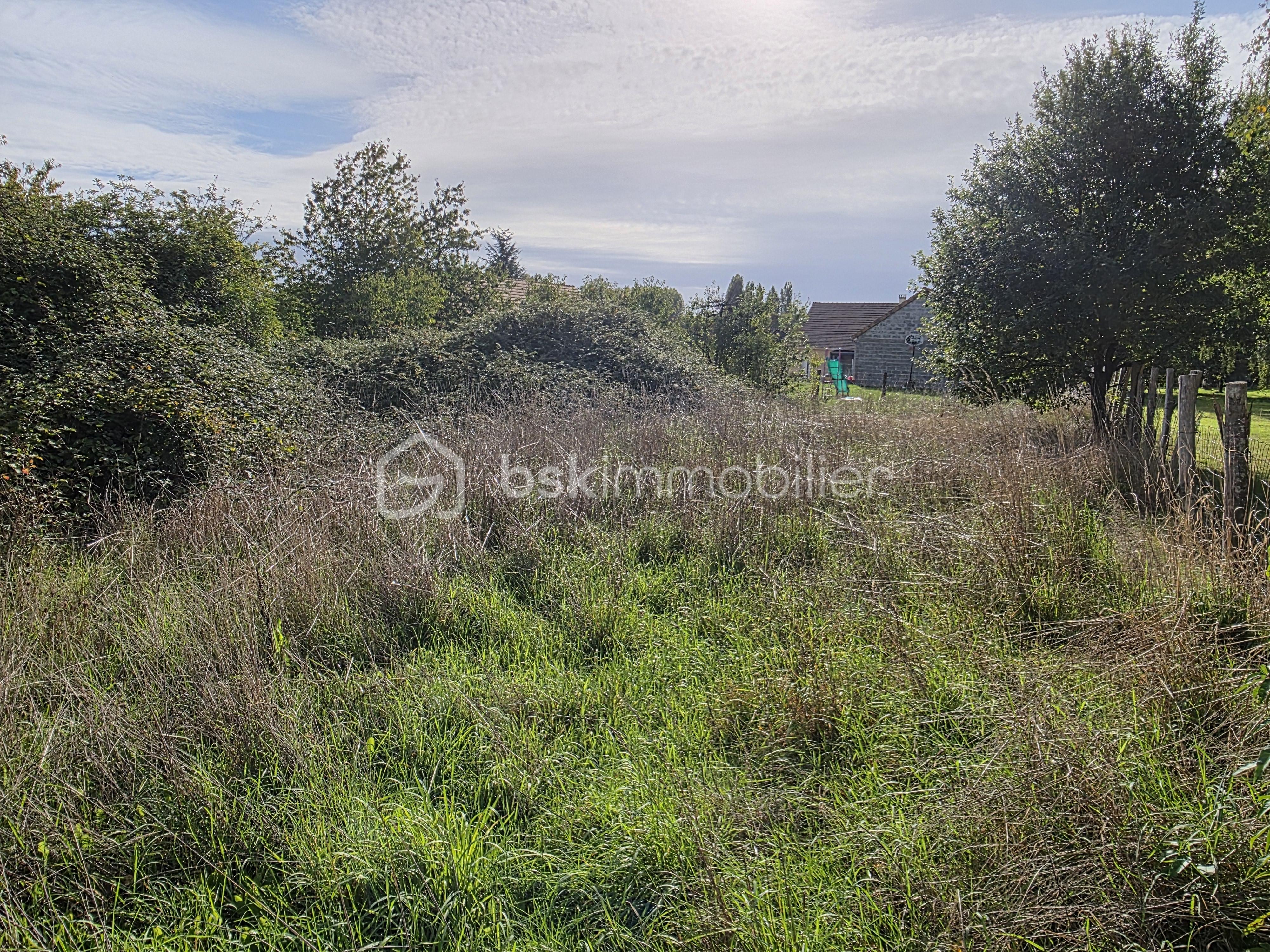 Terrain de 1 831 m² - 20250923_102558.jpg