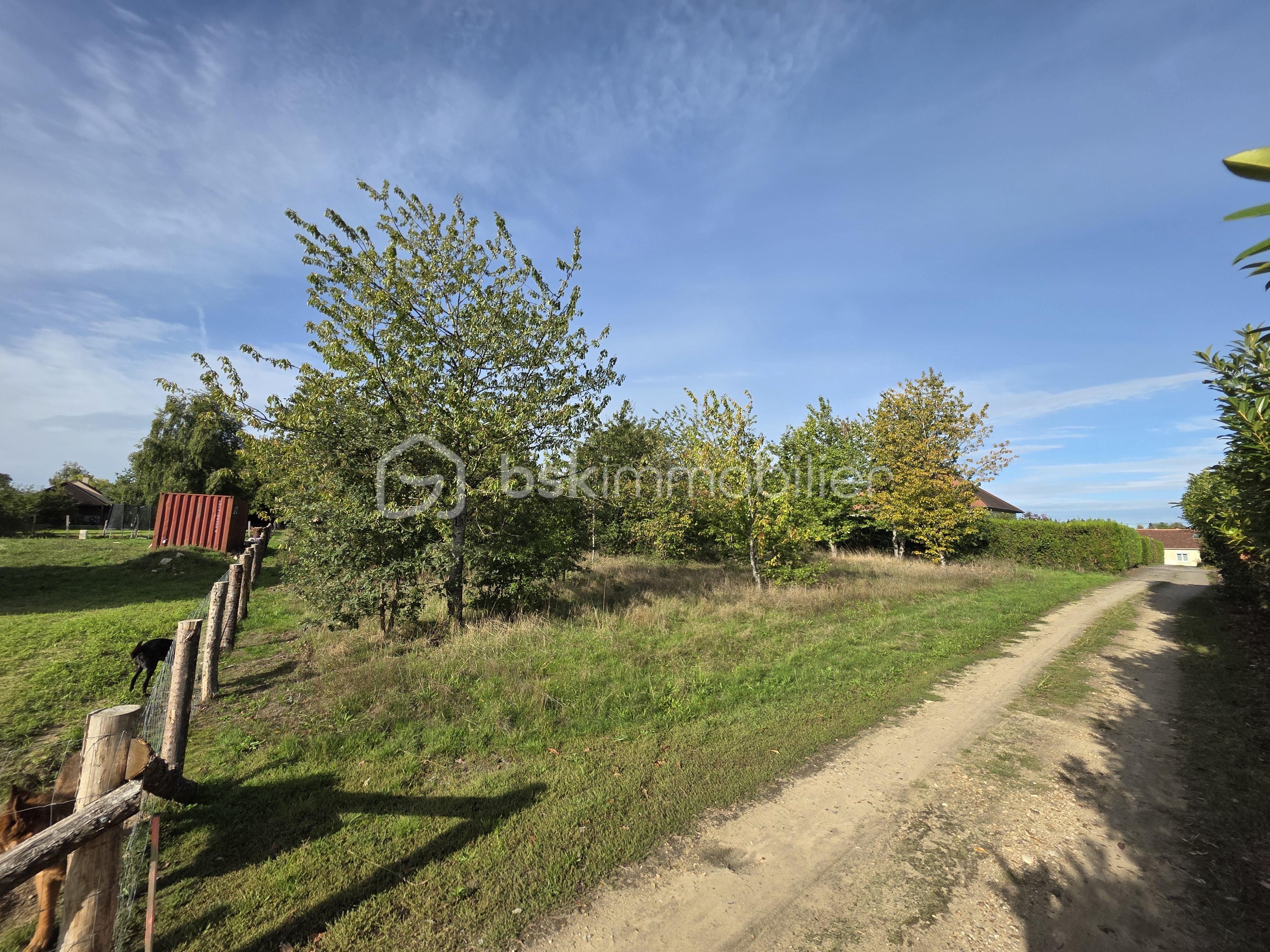 Terrain de 1 831 m² - 20250923_102934.jpg