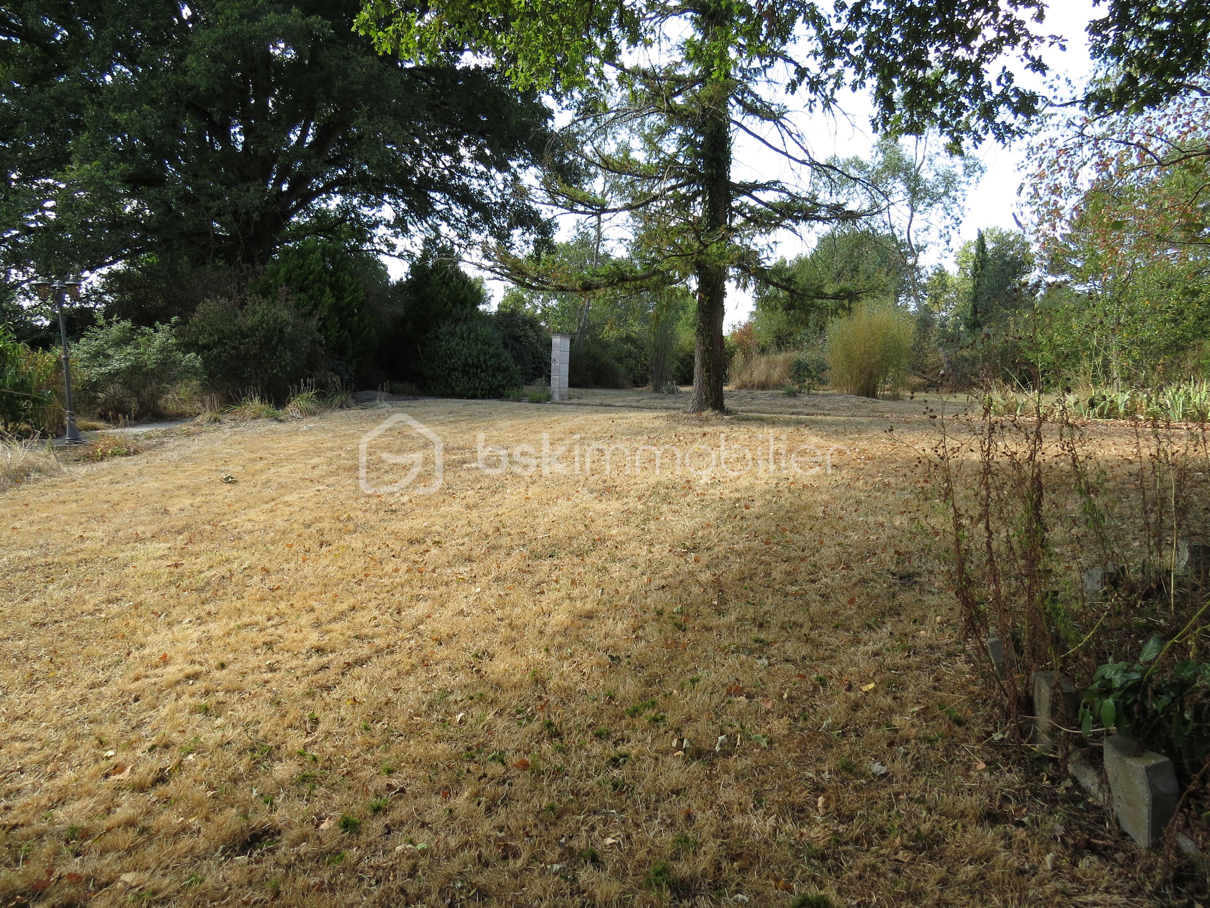 Maison longere de 232 m² - IMG_3308.JPG