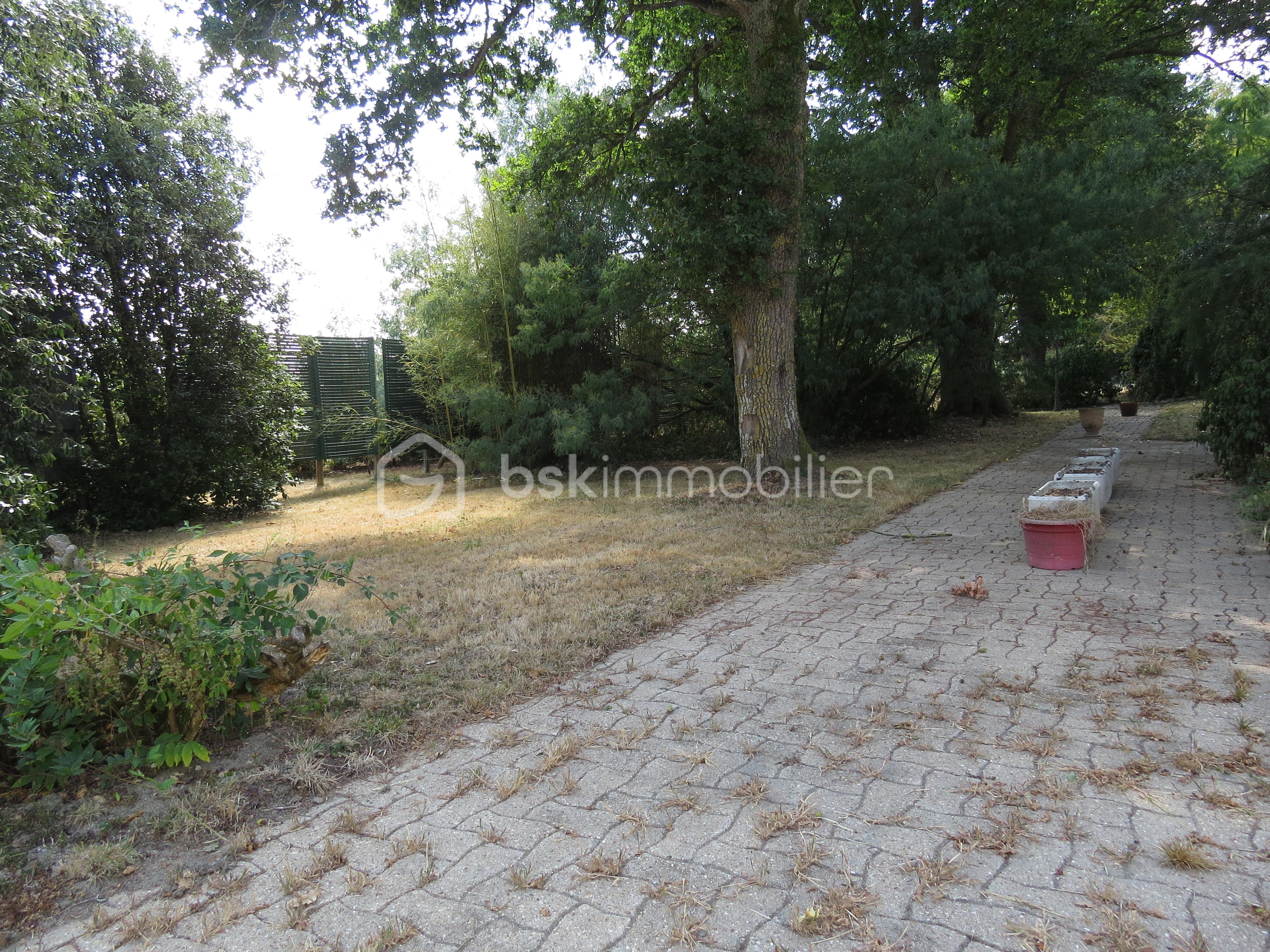Maison longere de 232 m² - IMG_3306.JPG