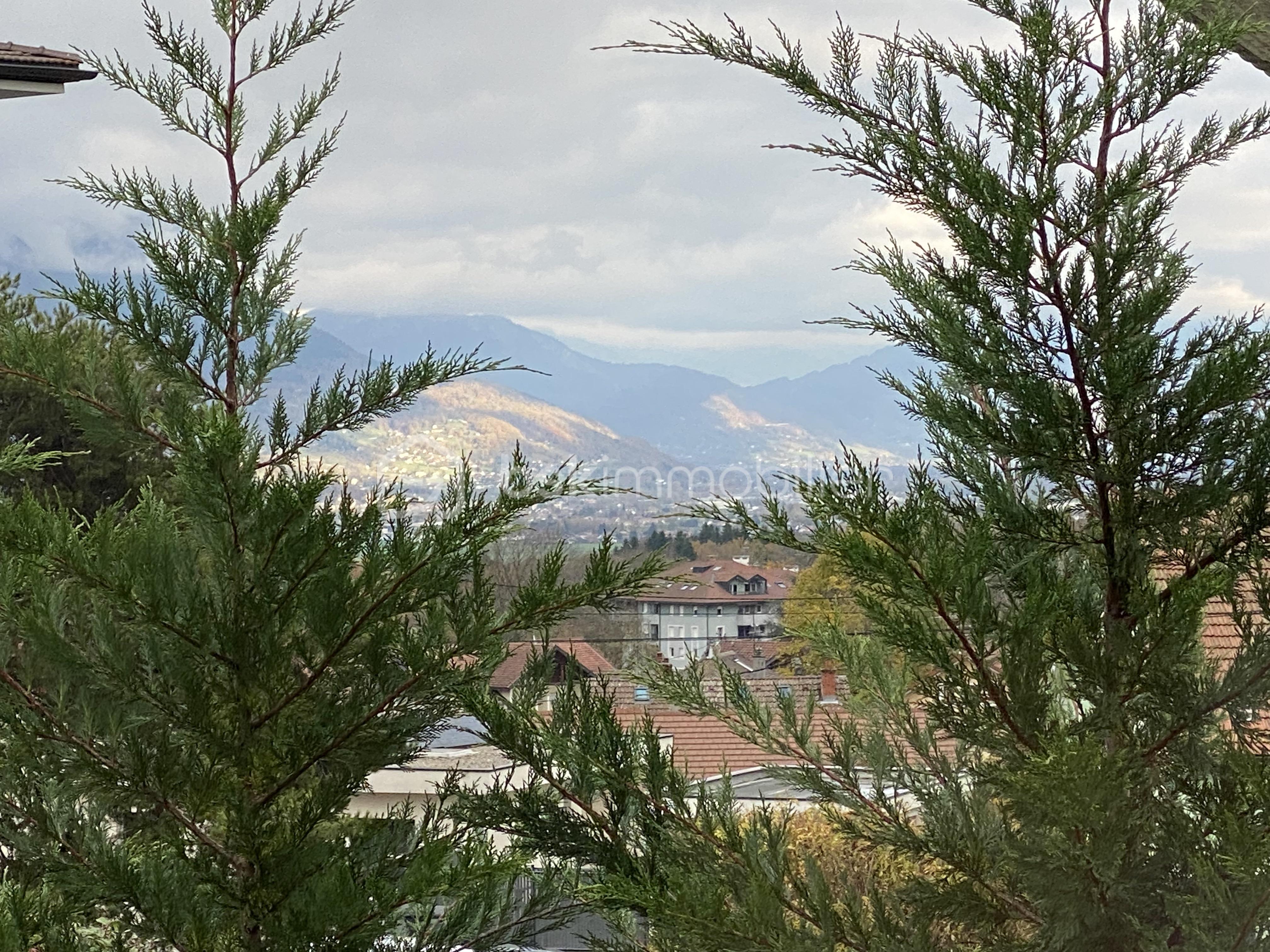 IMG_7769.jpeg