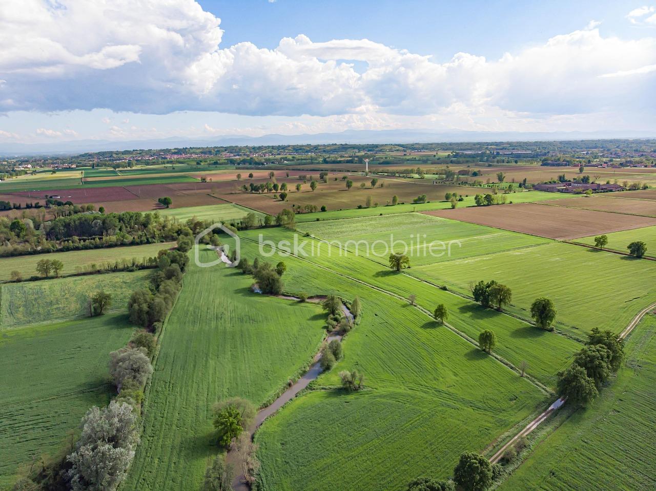 plain-6533208_1280 TERRAIN AGRICOLE.jpg