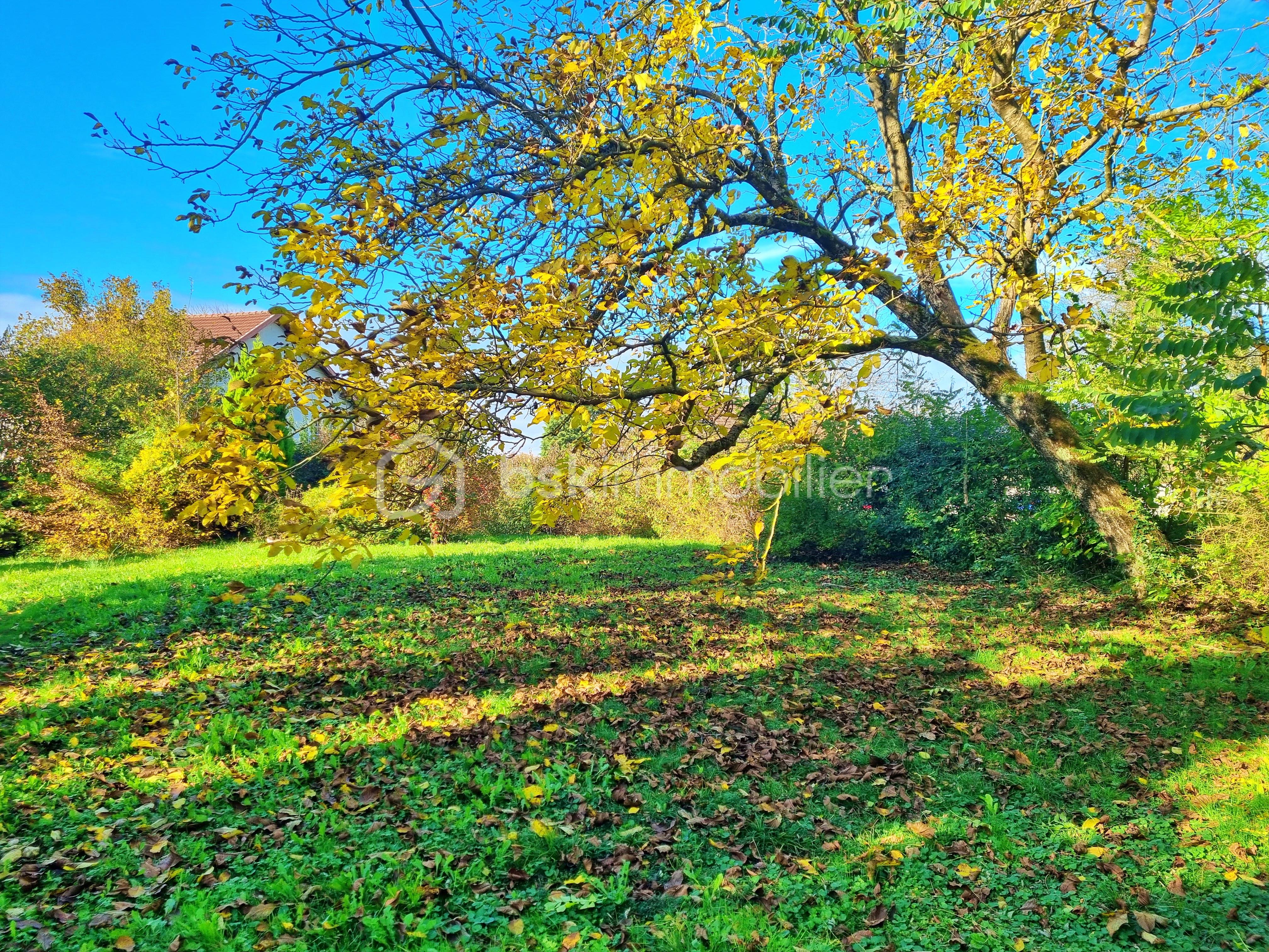 Demeure de 258 m² - v terrain arrière.jpg