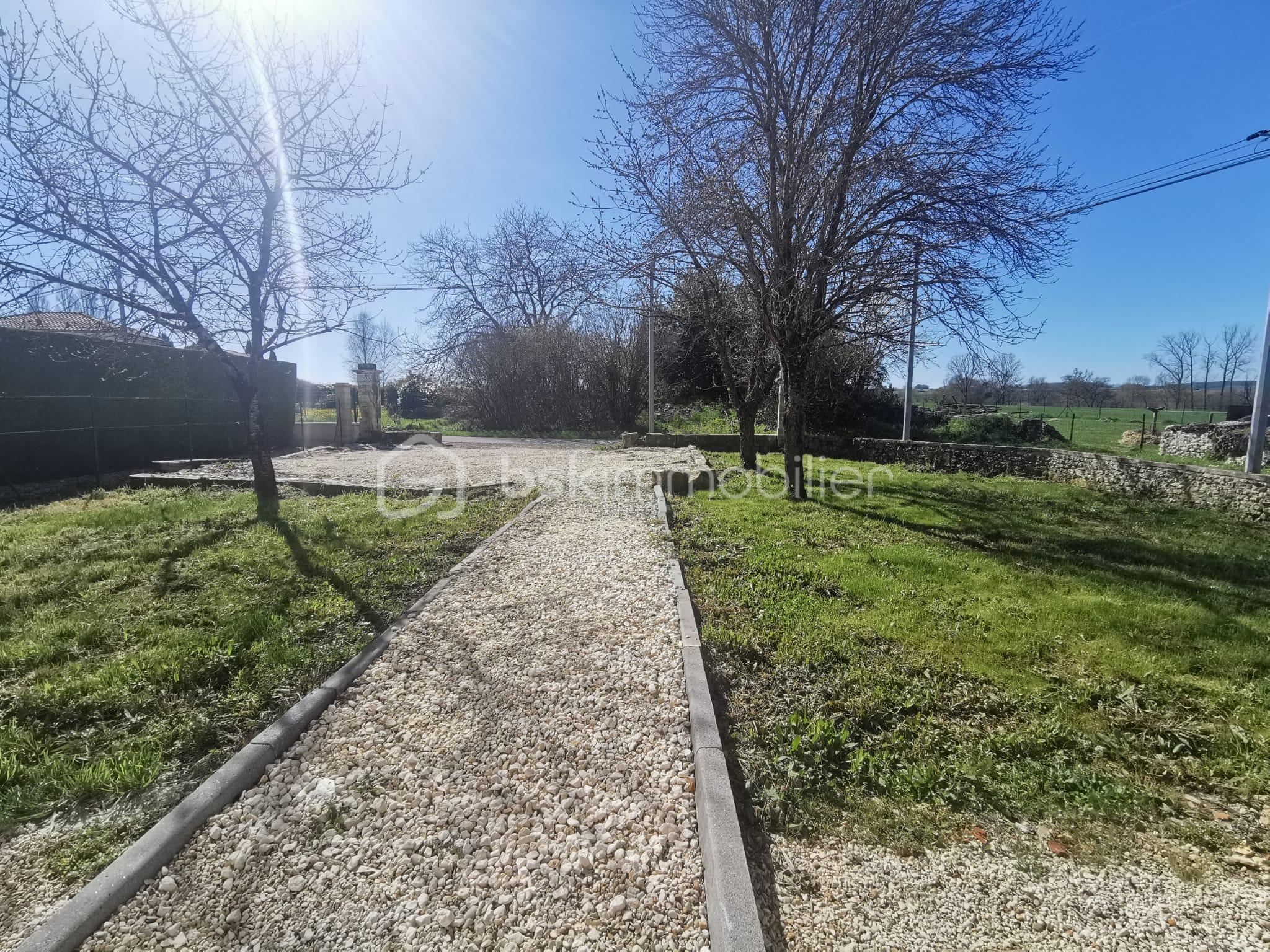 WhatsApp Image 2026-03-20 at 10.10.01.jpeg