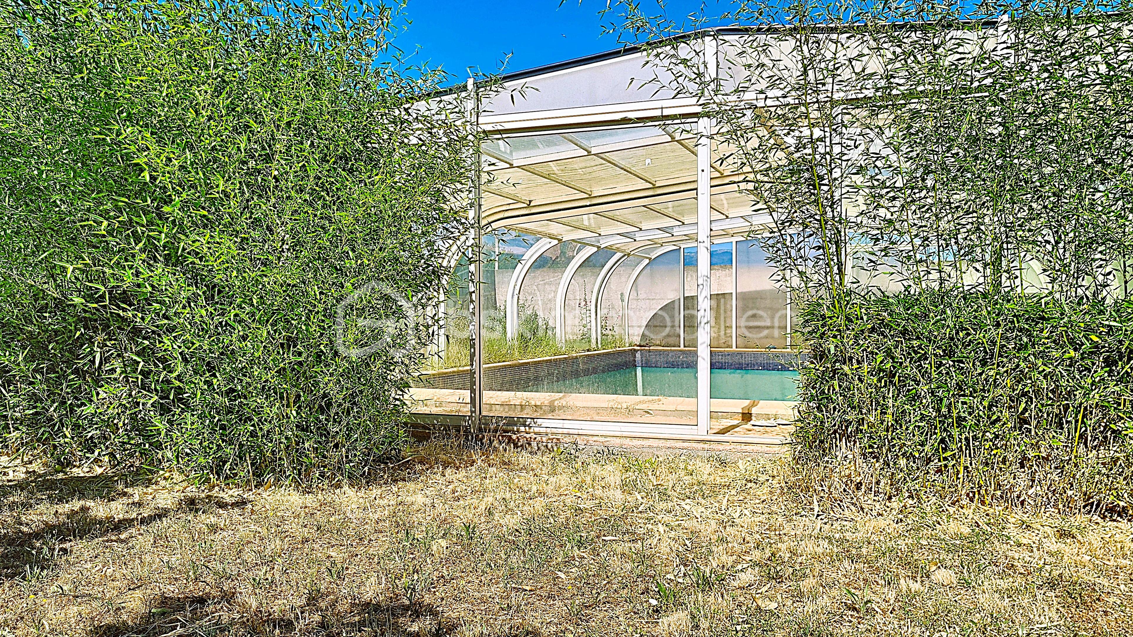 piscine bambou.jpg