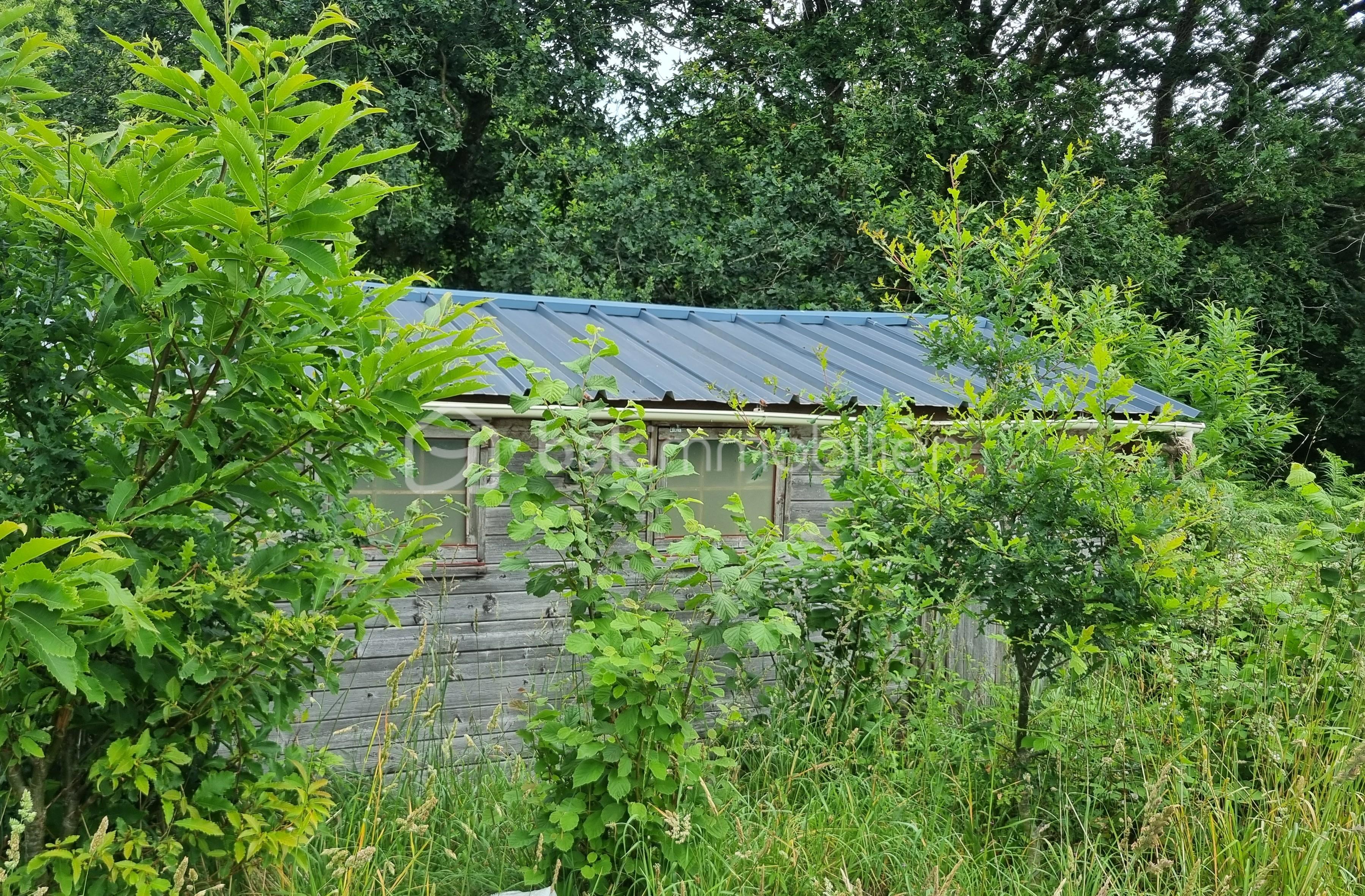 Cabanon.jpg