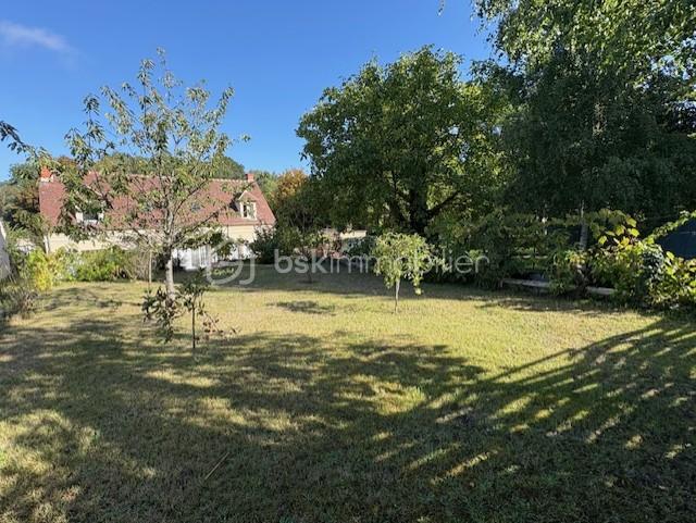 Maison de 175 m² - terrain.jpg