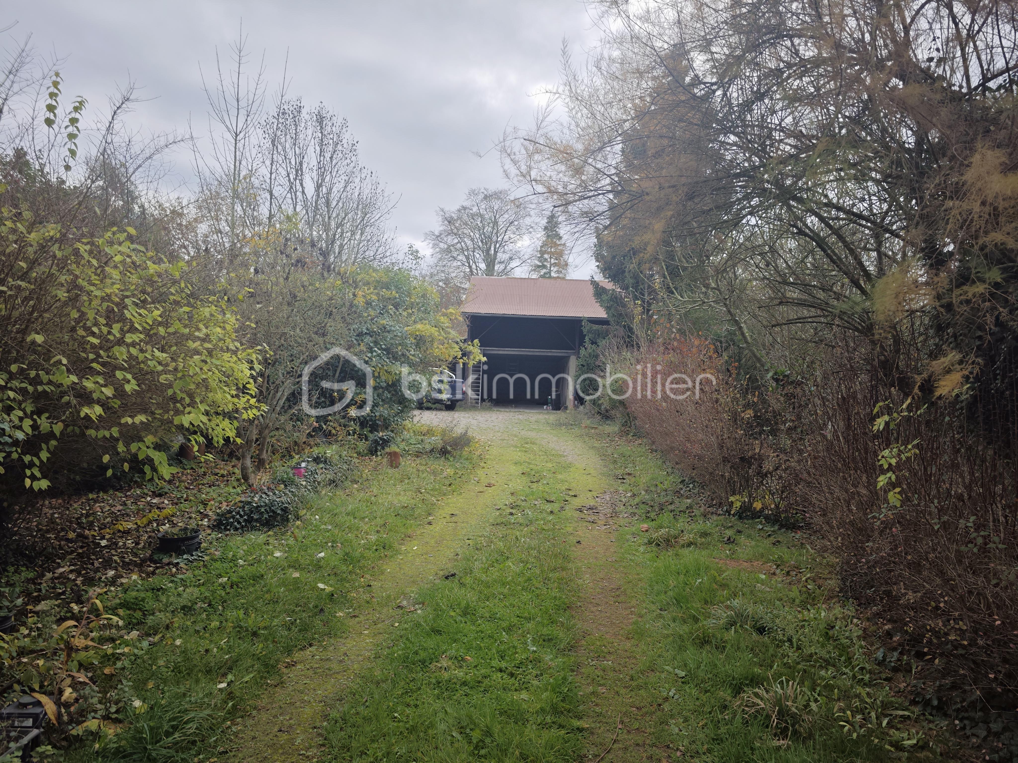 Maison de 225 m² - 1000018519.jpg