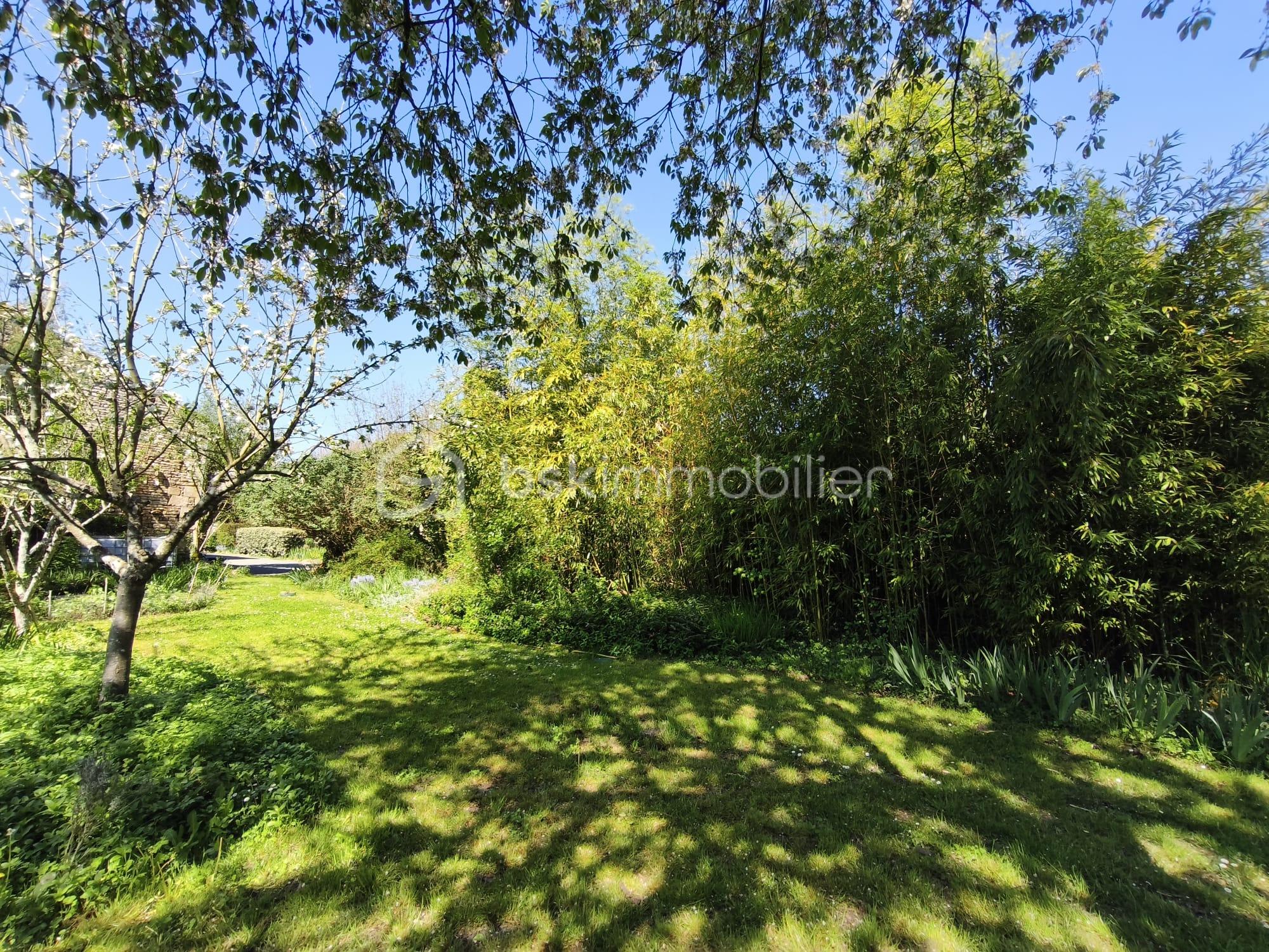 WhatsApp Image 2026-04-08 at 17.34.22 (9).jpeg